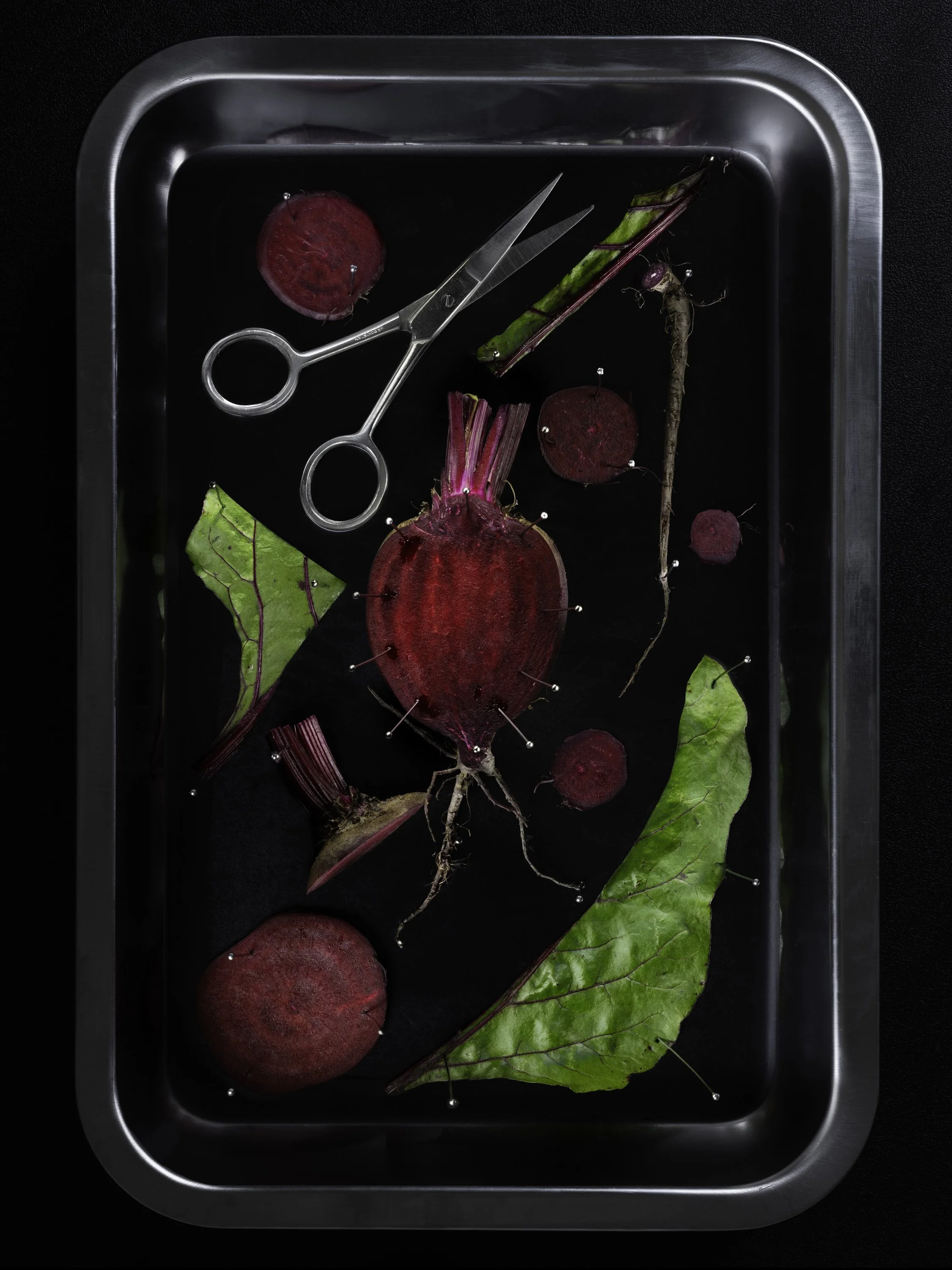 beet_dissection.jpg