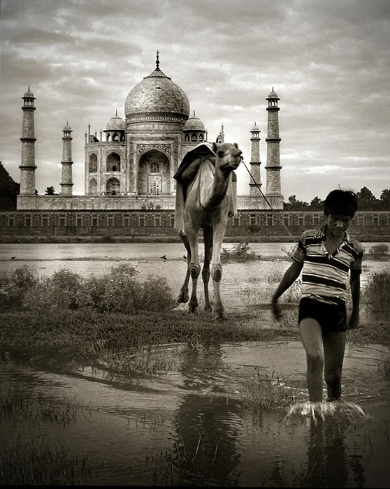Taj Mahal 5