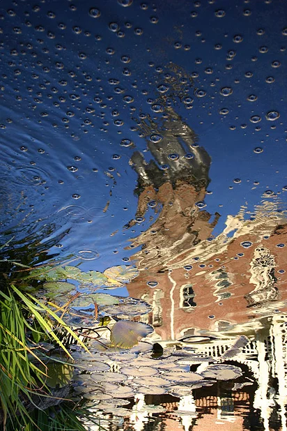 Plant Hall Reflection 4