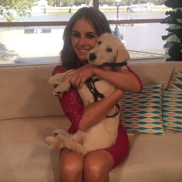 737763_Liz_Hurley_and_Luna_dc1a51b778e1241d678e54fdffd782d9.gif.jpeg