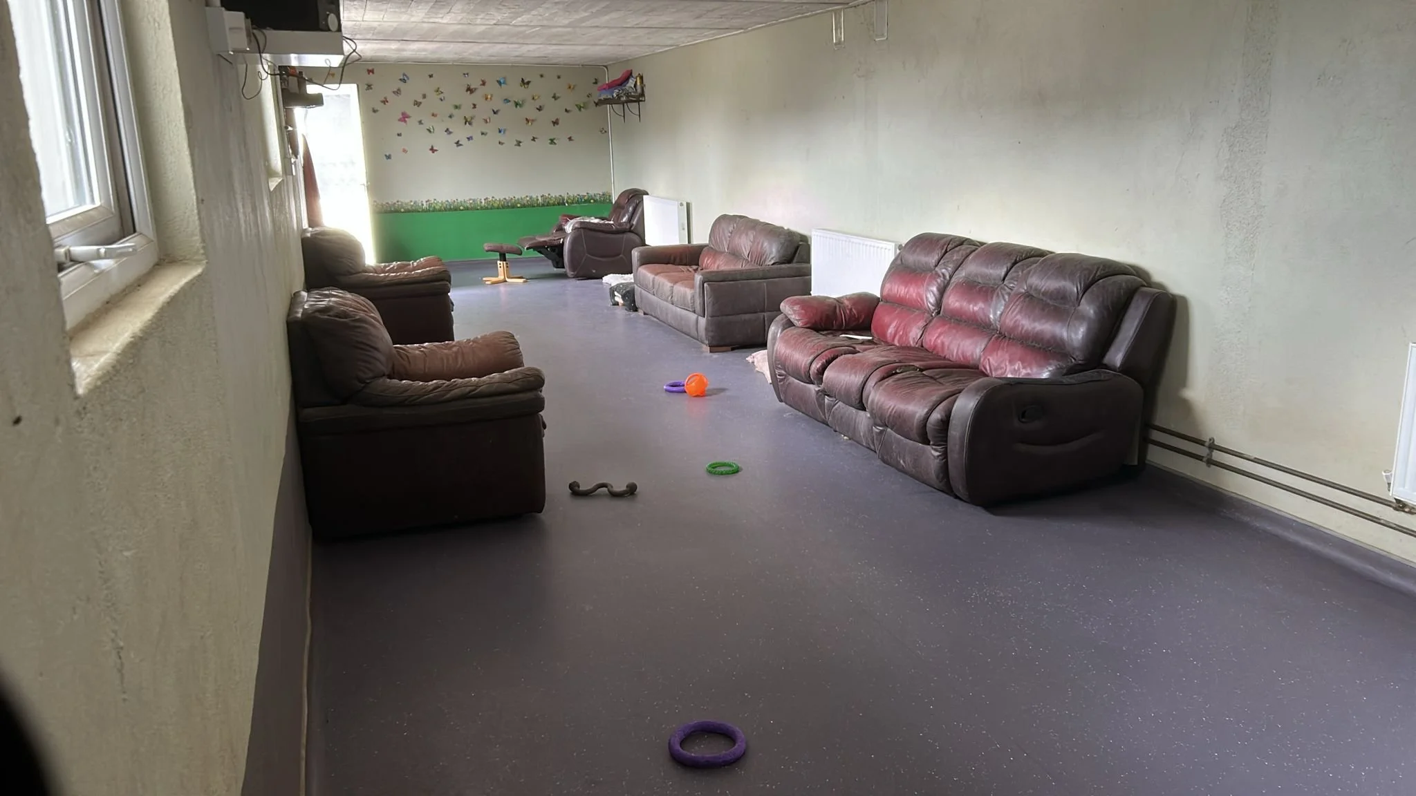 interior no dogs.jpeg