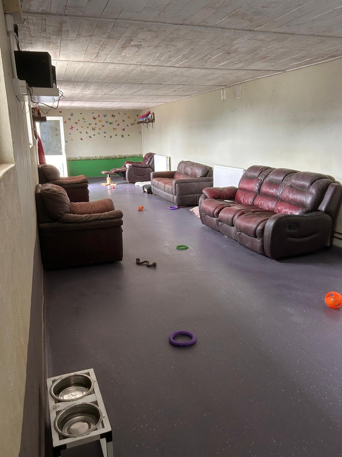 interior no dogs 4.jpeg