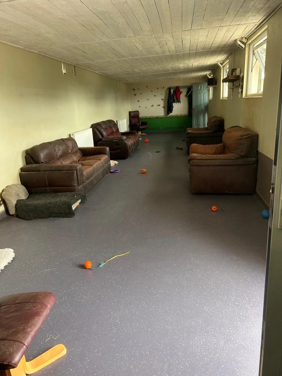 interior no dogs 5.jpeg