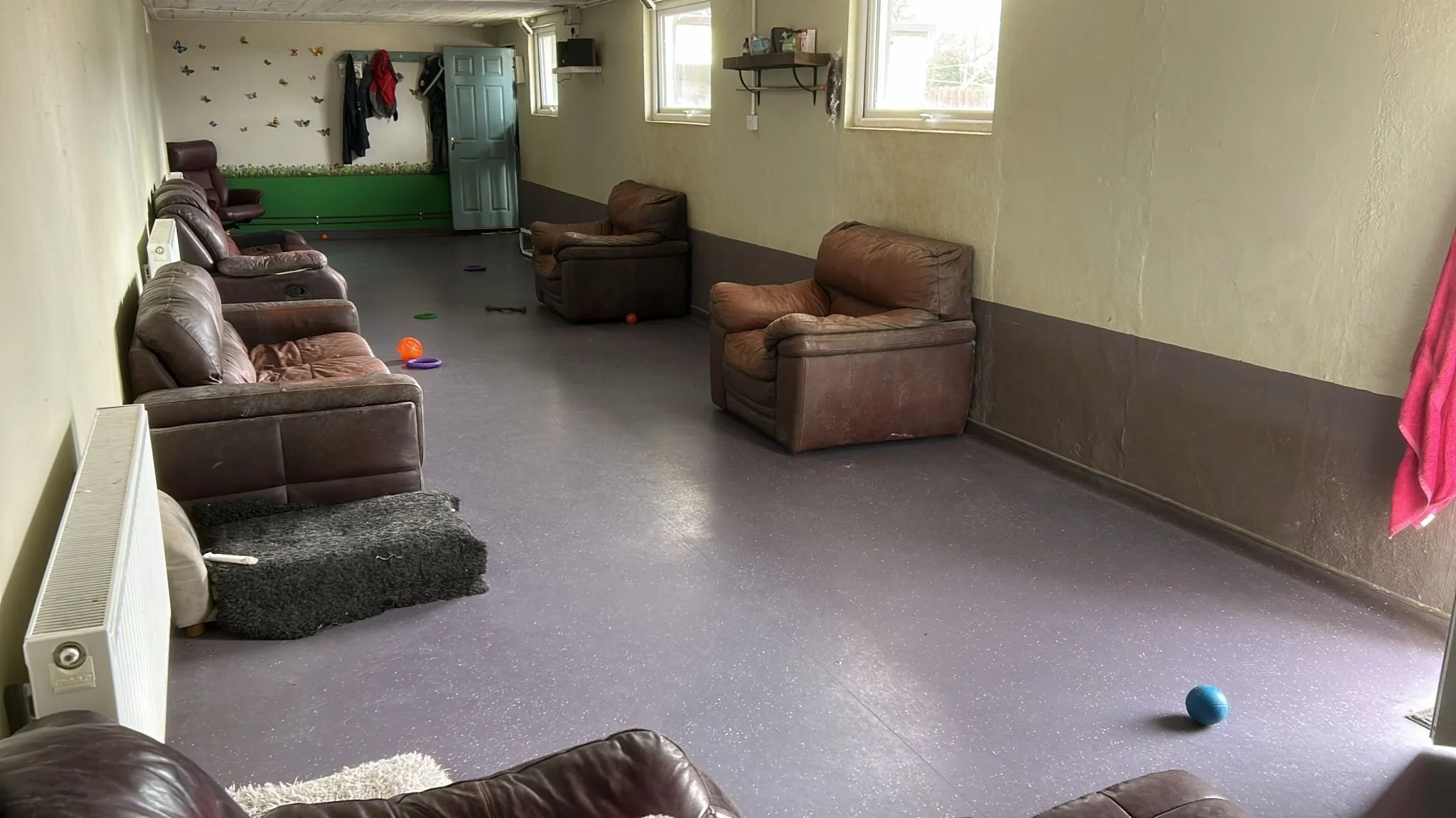 interior no dogs 2.jpeg