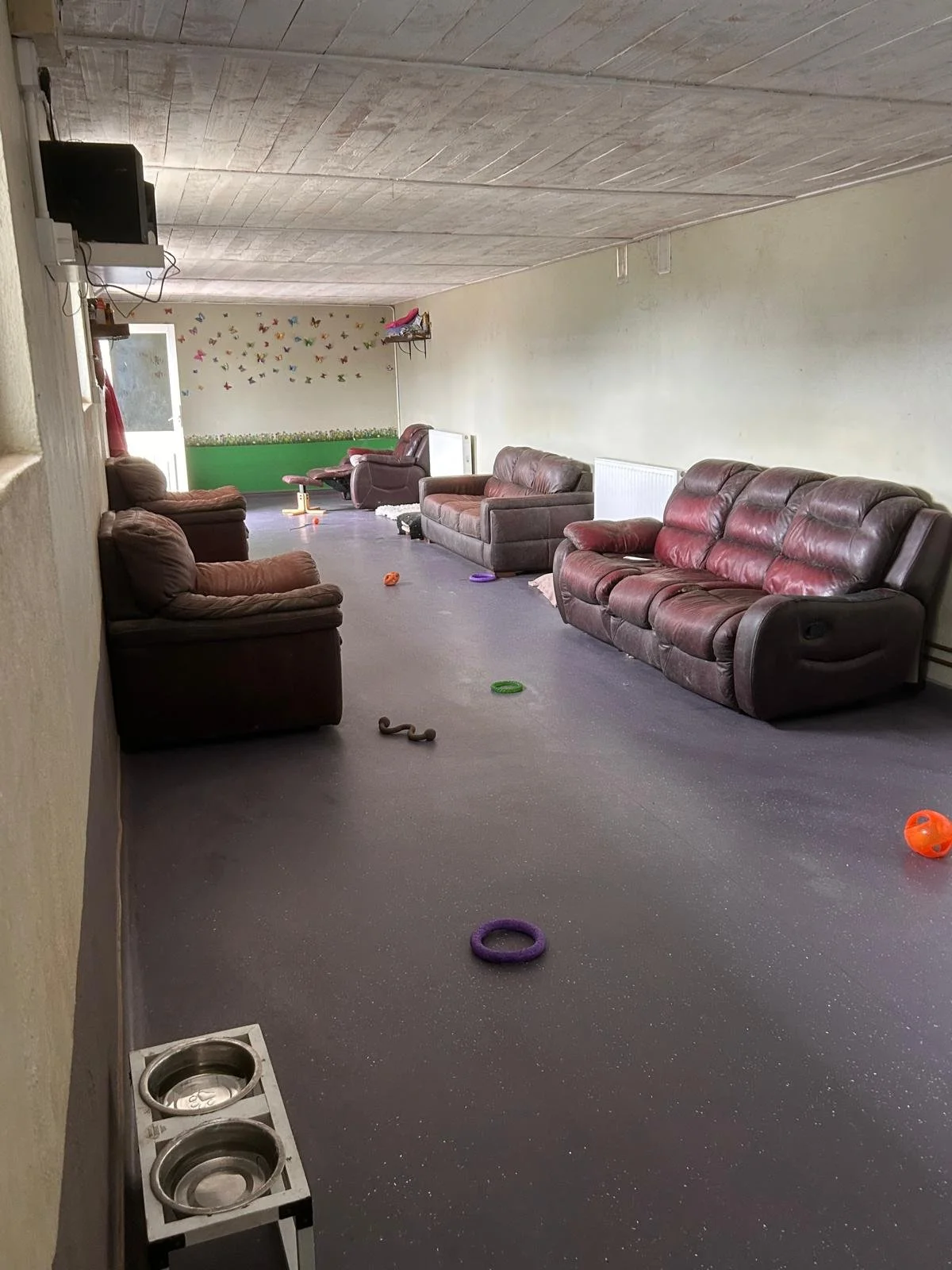 interior no dogs 4.jpeg