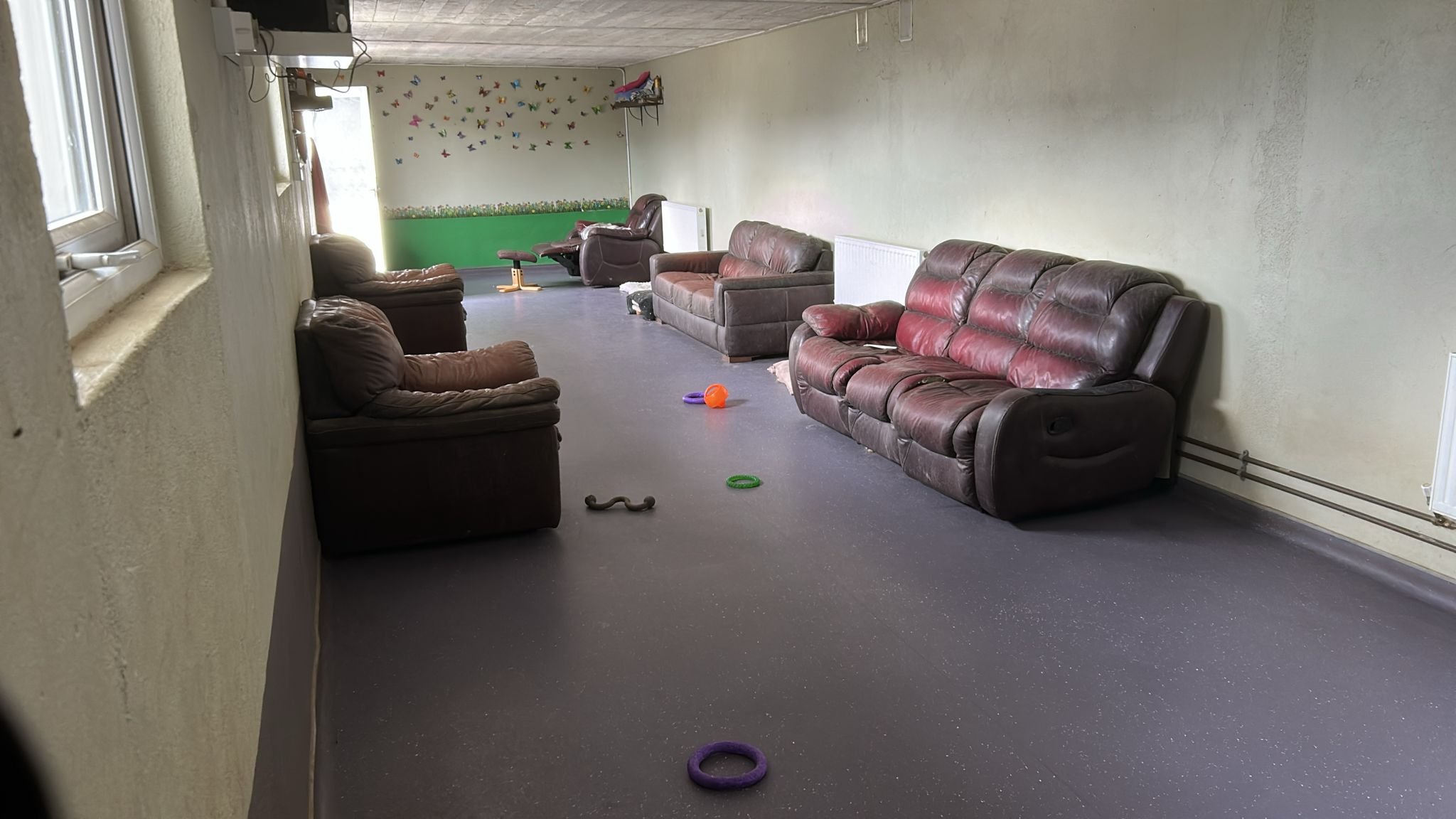 interior no dogs.jpeg