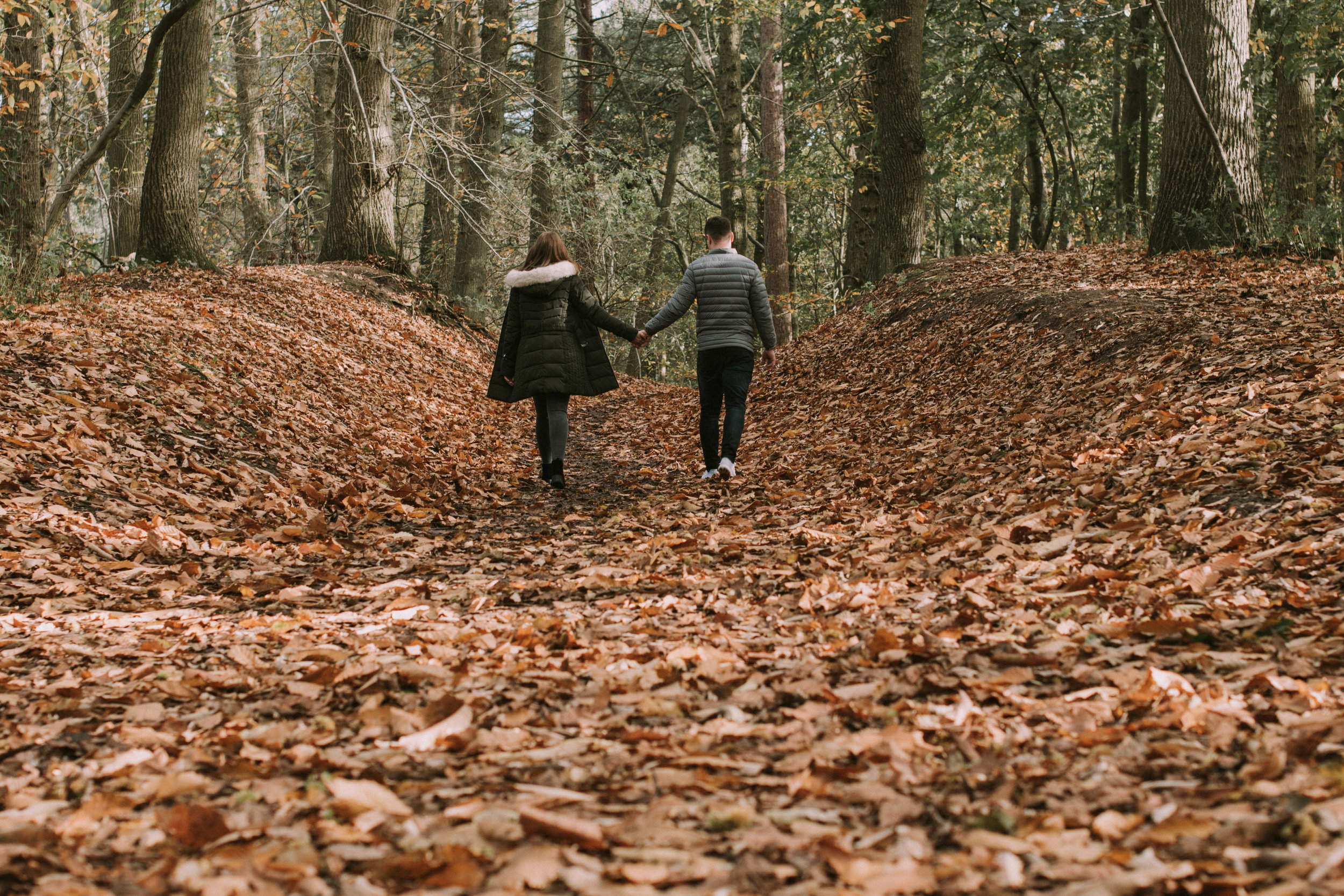 Delamere Forest Cheshire engagement shoot Kimberley and Danny (1 of 1).jpg