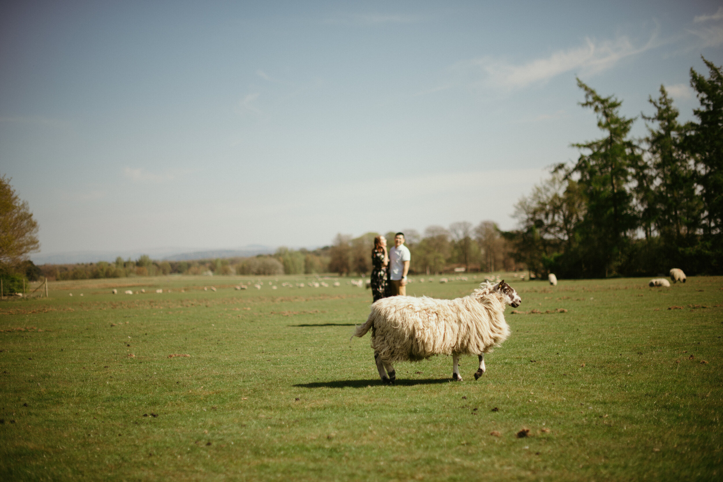 Jody & Fung Engagement (1 of 1)-119.jpg