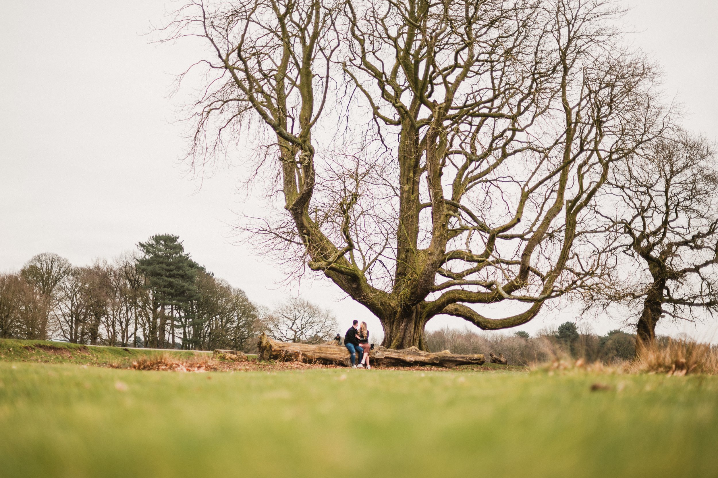 Jen & Jordan Engagement (1 of 1)-107.jpg