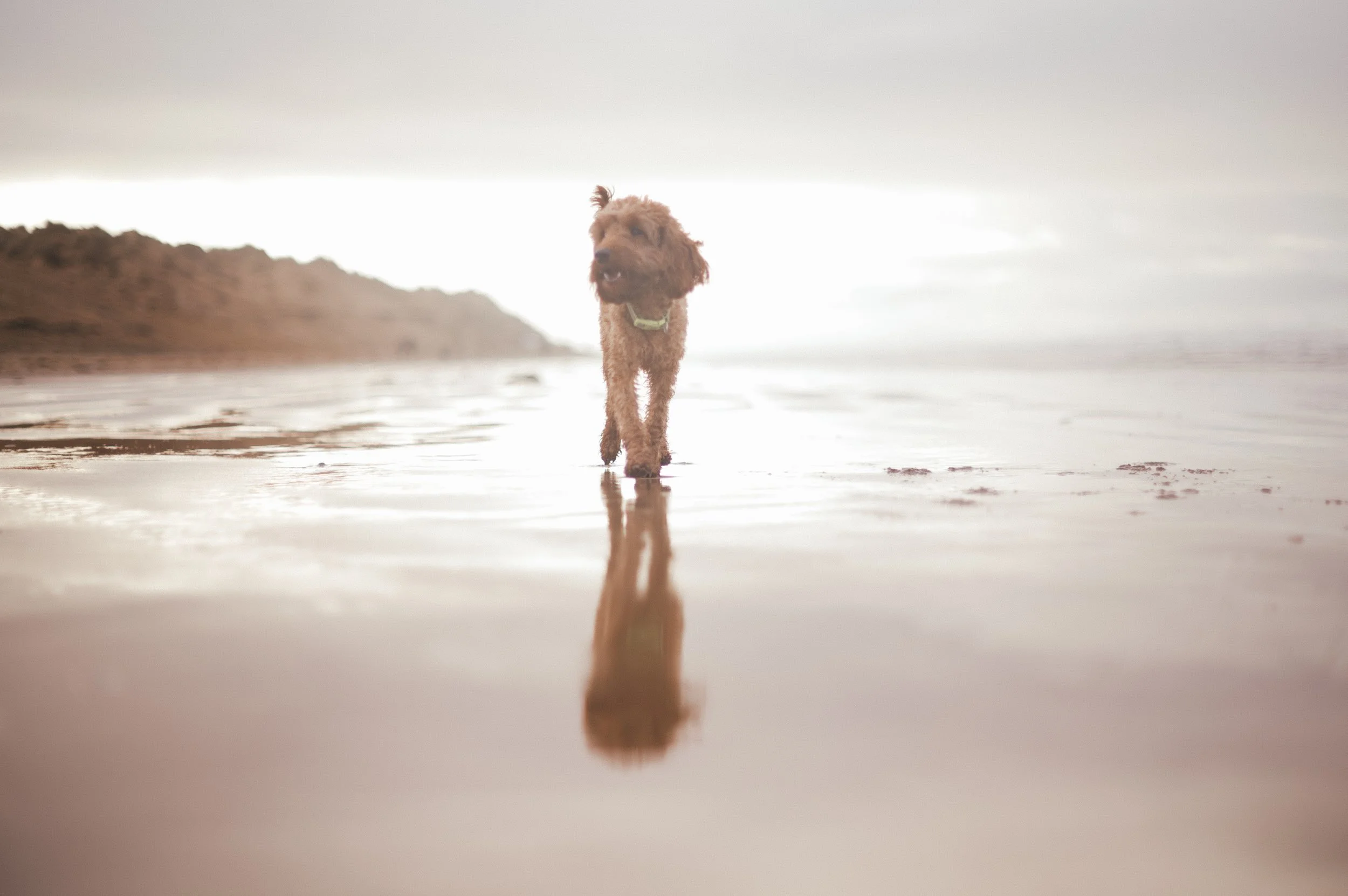 Luna & Mabel Shoot 1 (1 of 1)-21.jpg