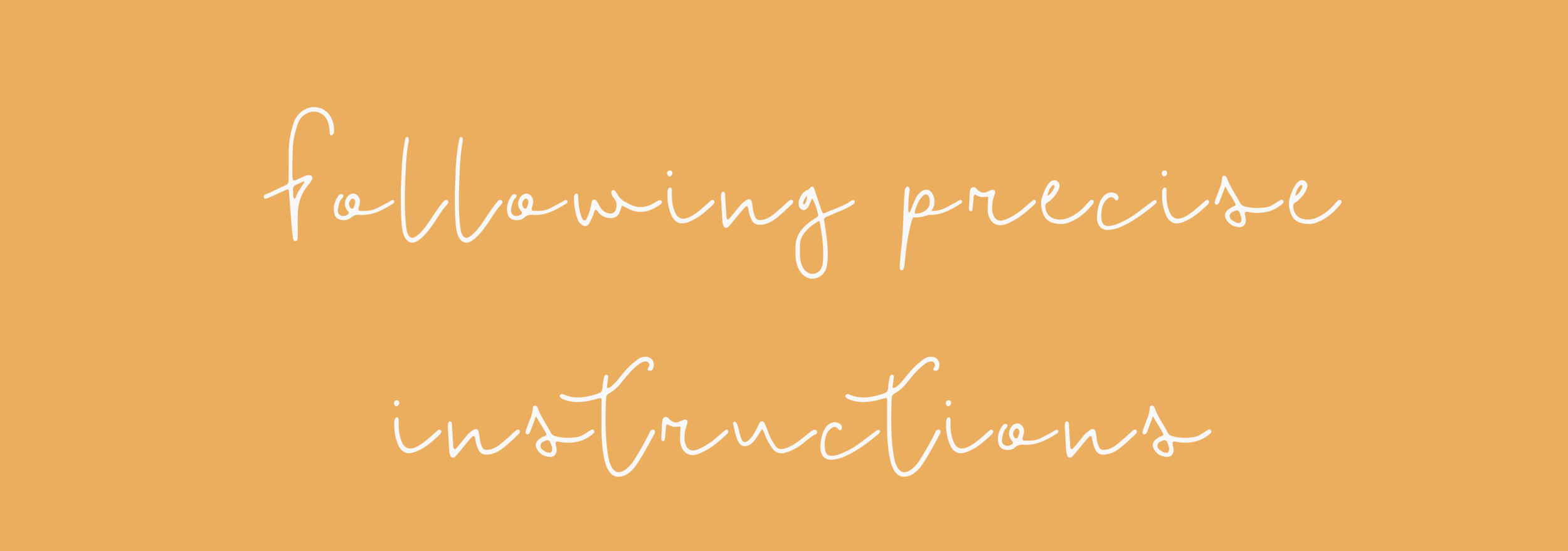 Following instructions precisely