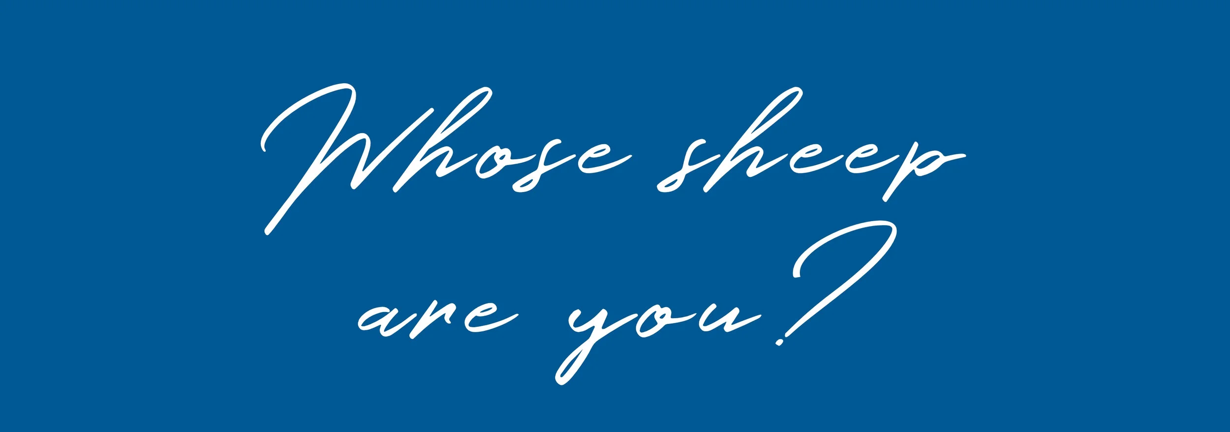 Whose sheep are you?