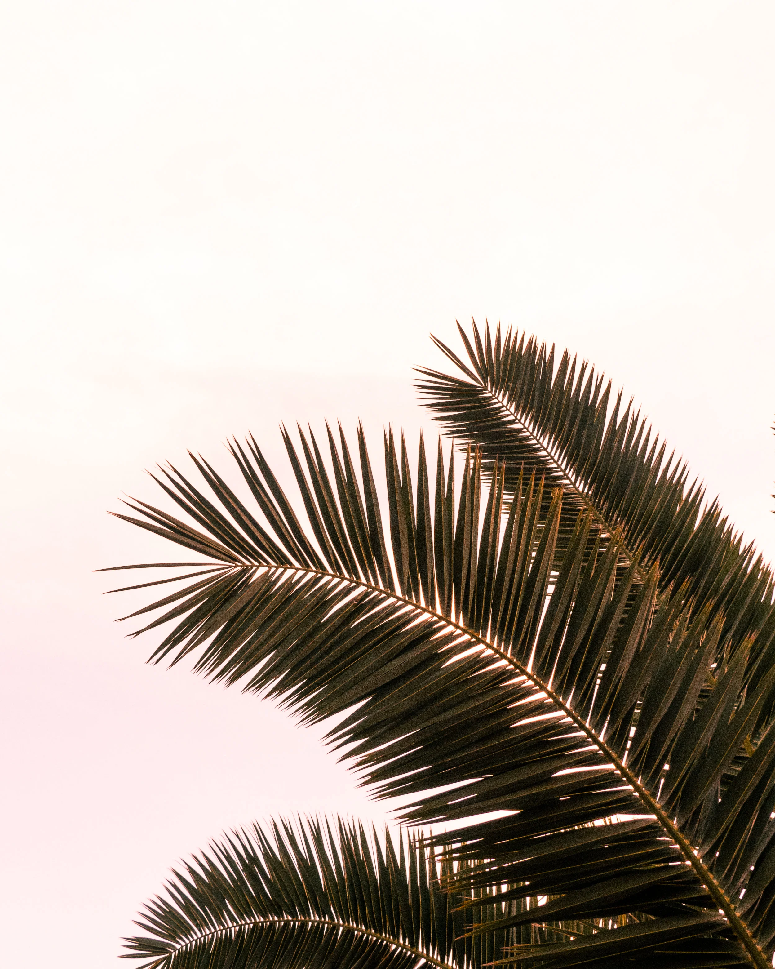 Is tribulation burdening us?