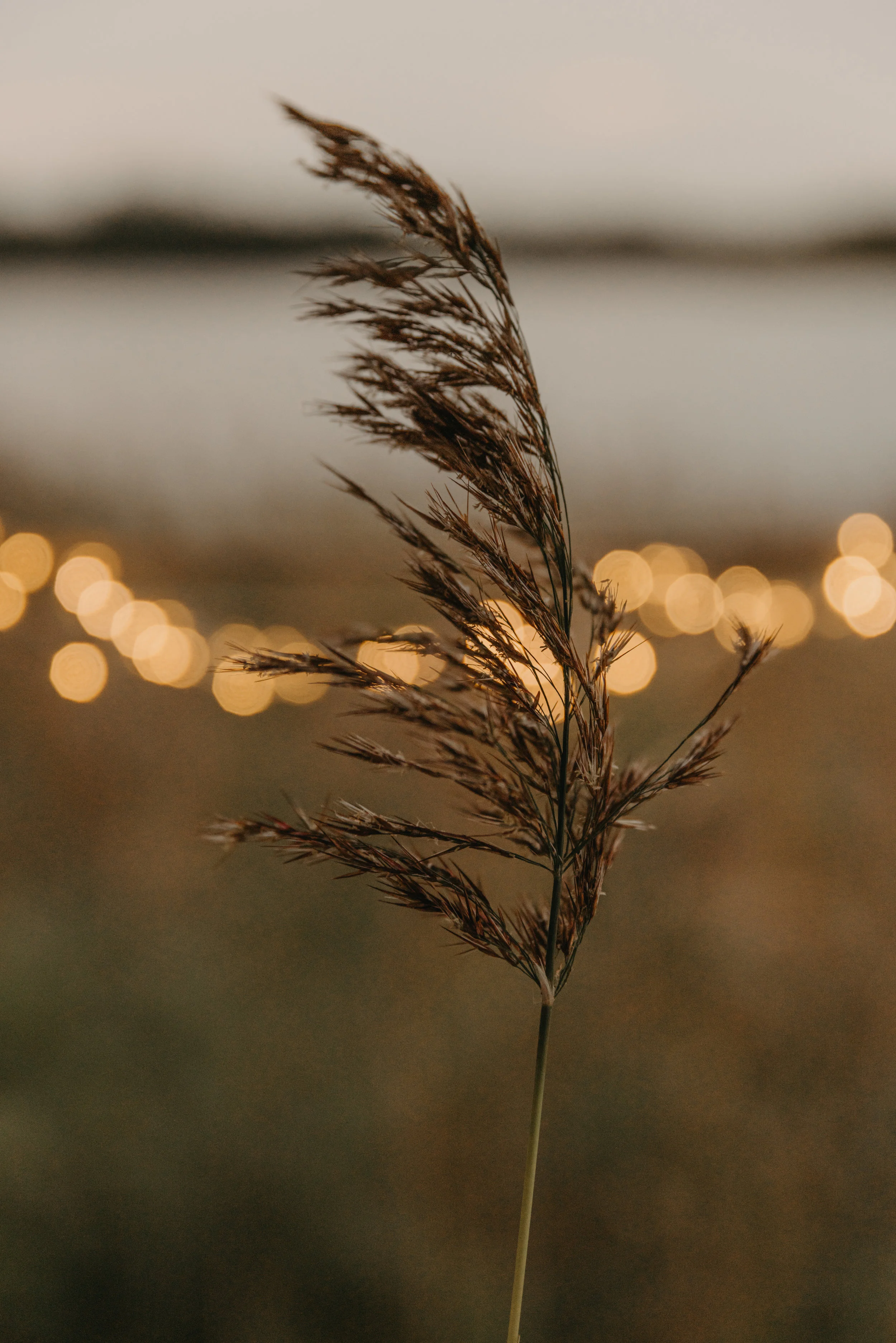 Weapons of our warfare 