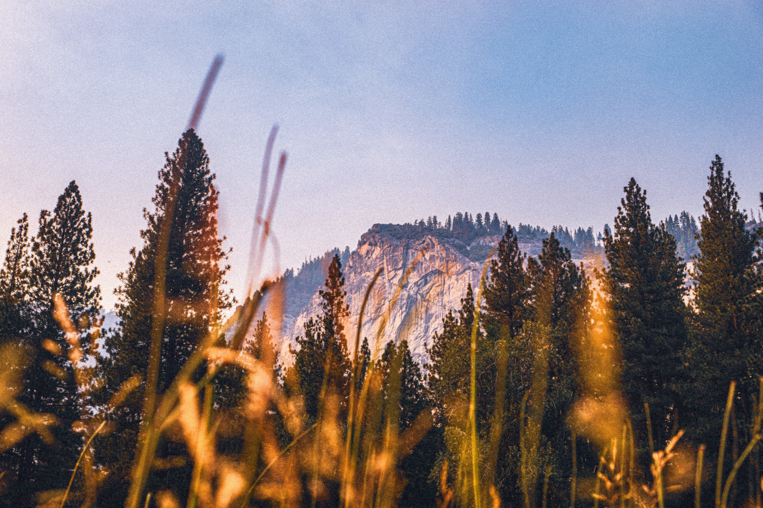 Test of faithfulness