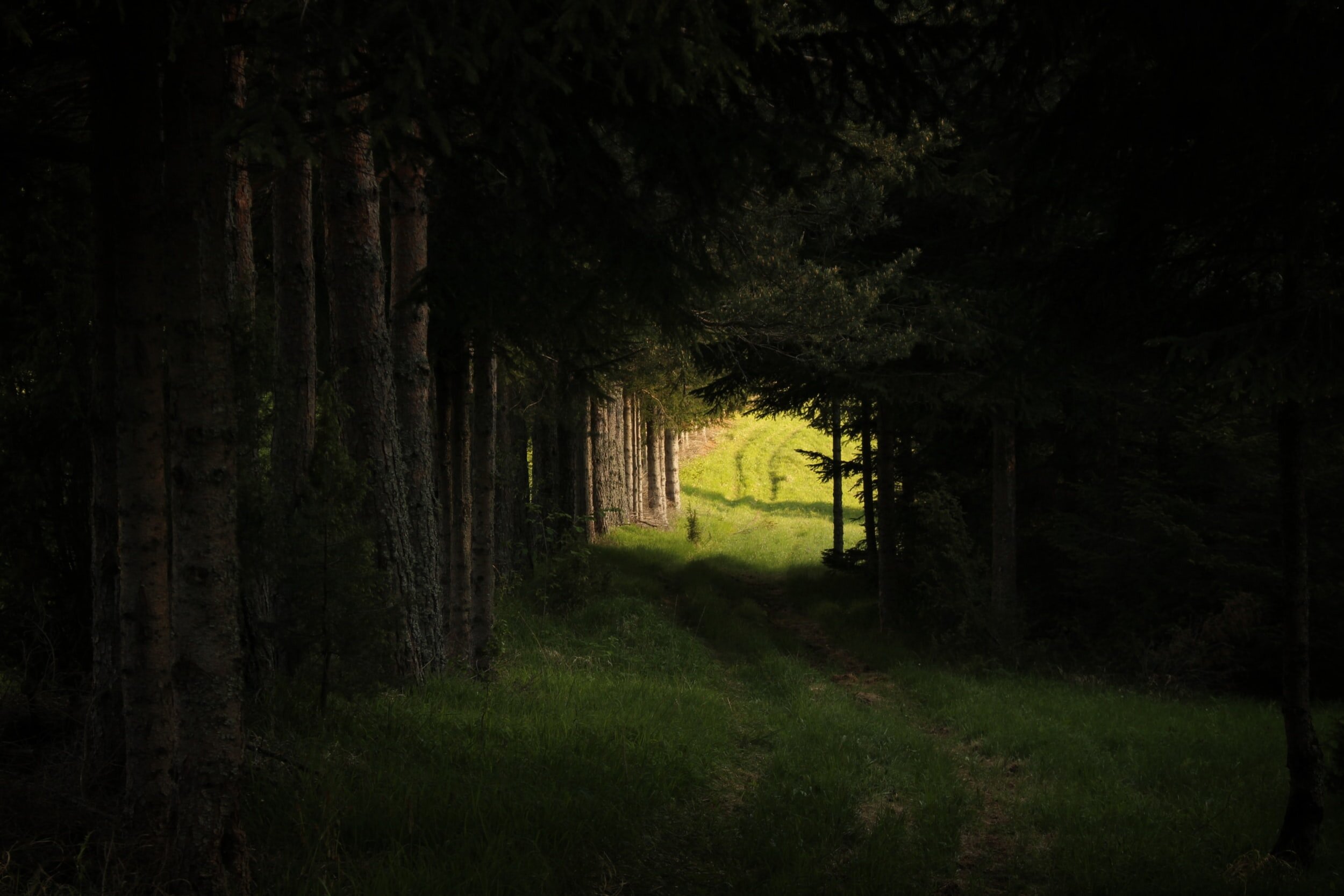 Seek And You Will Find