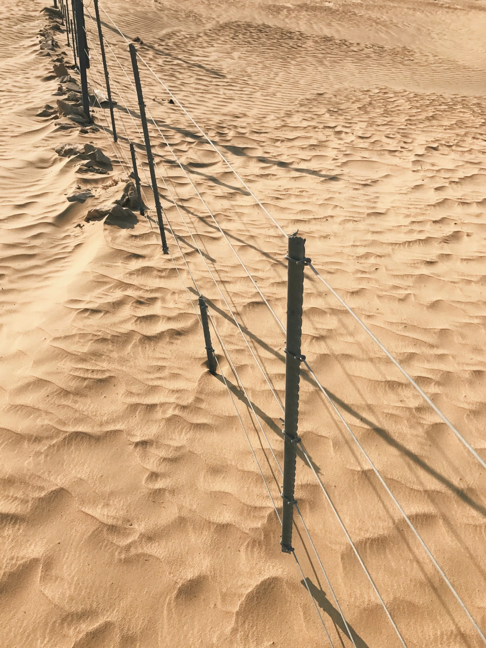 The Dividing Line