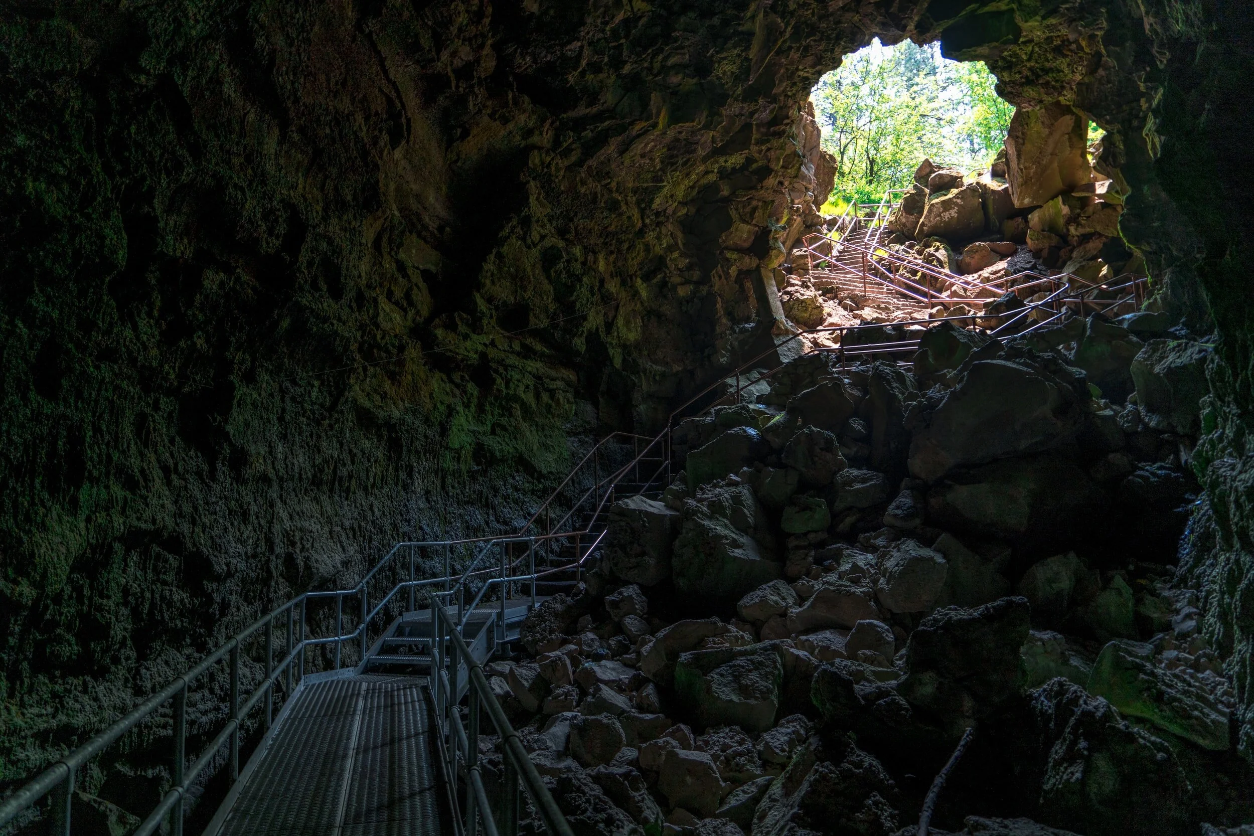 Stepping Into The Light