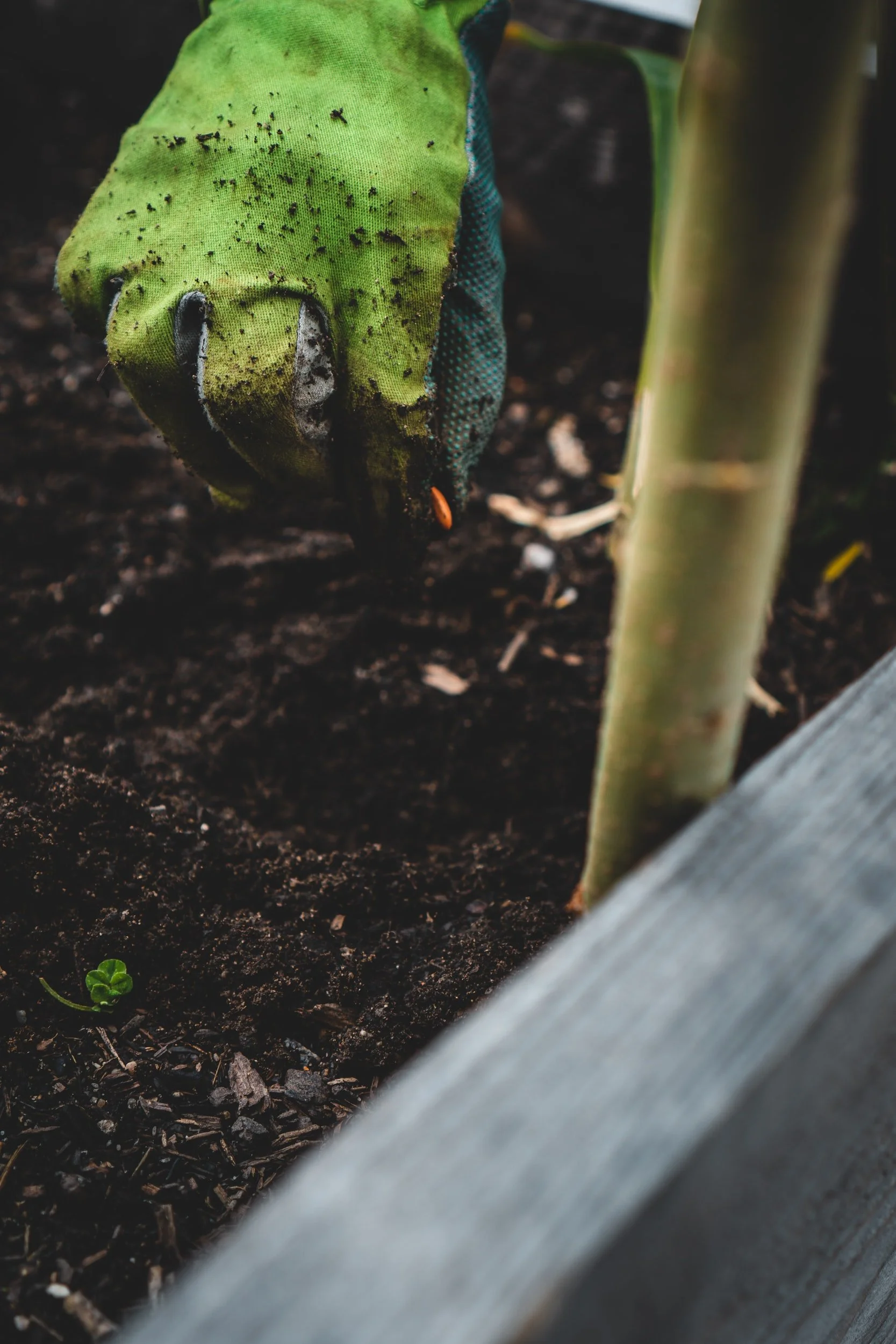 Sowing Into The Spirit