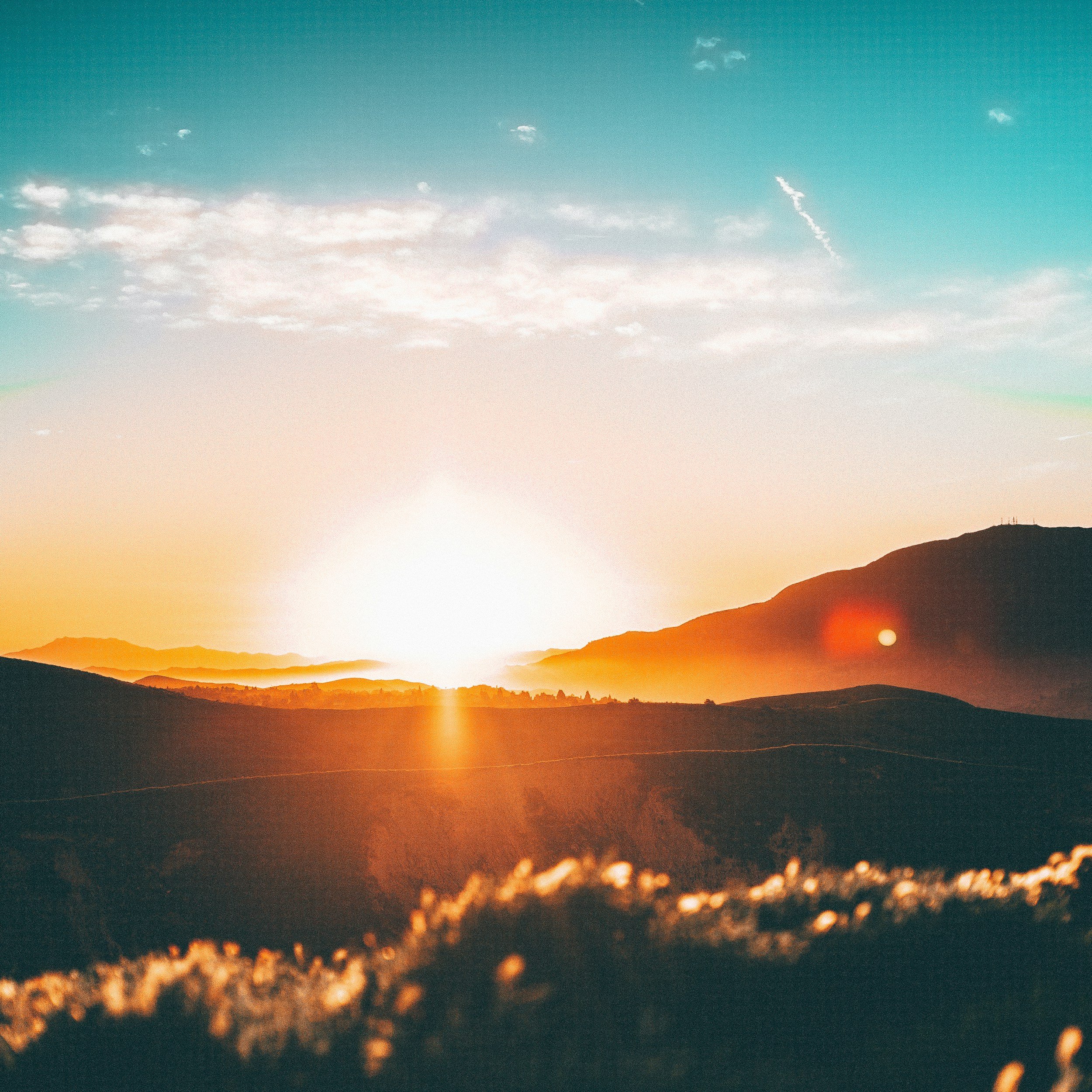 In Pursuit Of The Salvation Of The Soul