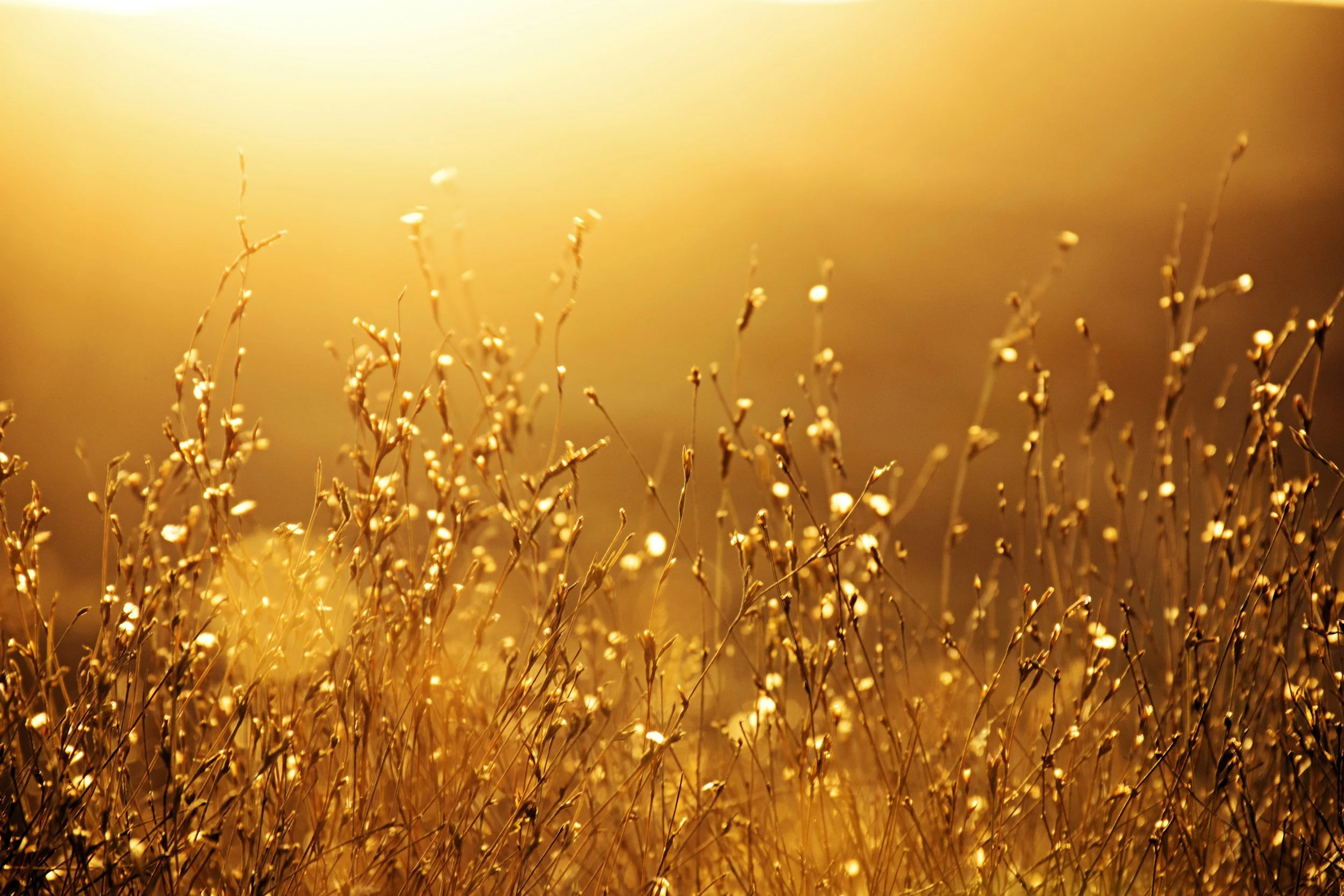 The Incredible Power Of God's Love