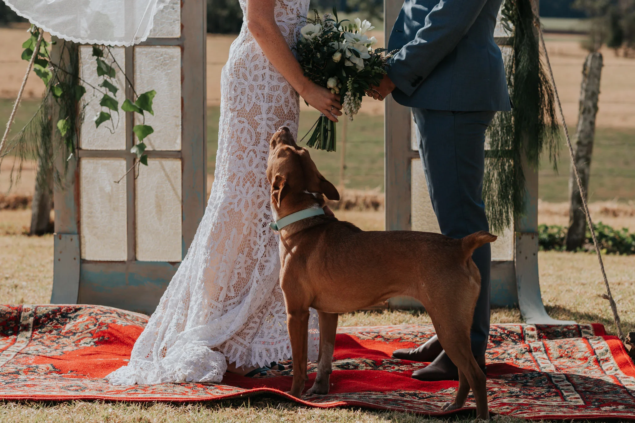 Jamie&Steve_Melross_KristieCarrickPhotography-443.jpg