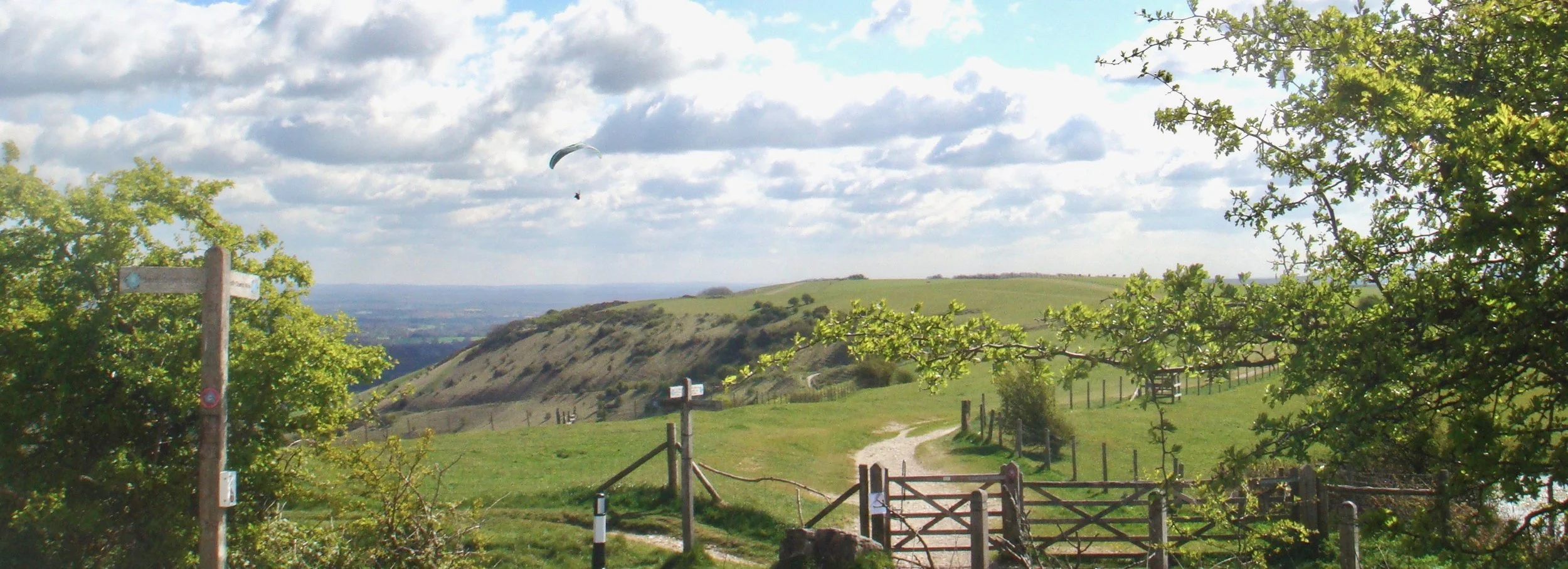 Downs crop copy.jpeg