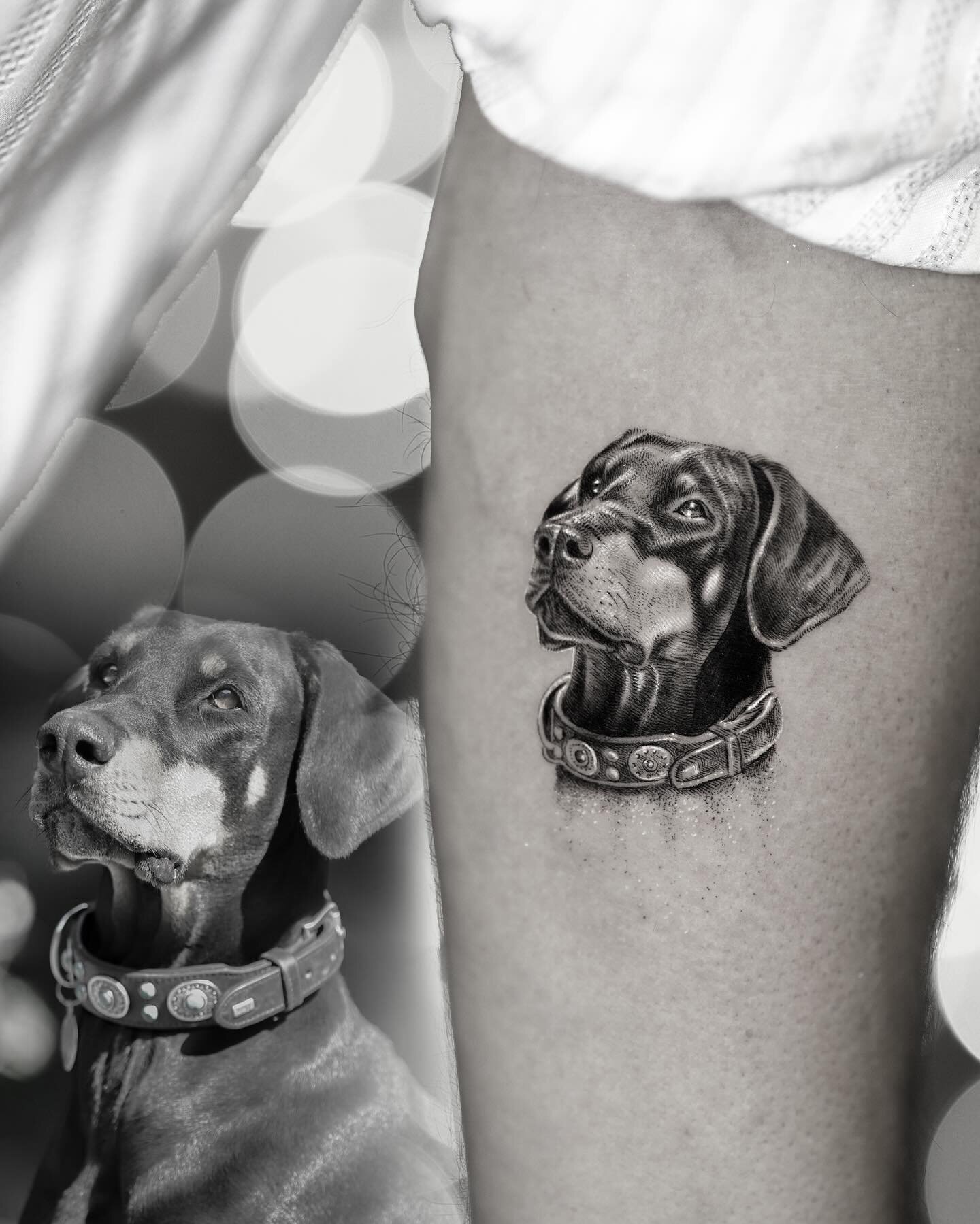 I surprised my dad with a tattoo appointment - Our baby-dog, Ombra. 🐶🩶

Ombra (that means Shadow in Italian), is our family dog. I did this for my dad&rsquo;s on 60th birthday. It was his first tattoo. 🎉

He did not know about the appointments I s