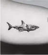 Shark Tattoo Guide: Meanings, Designs & Symbolism [2025]