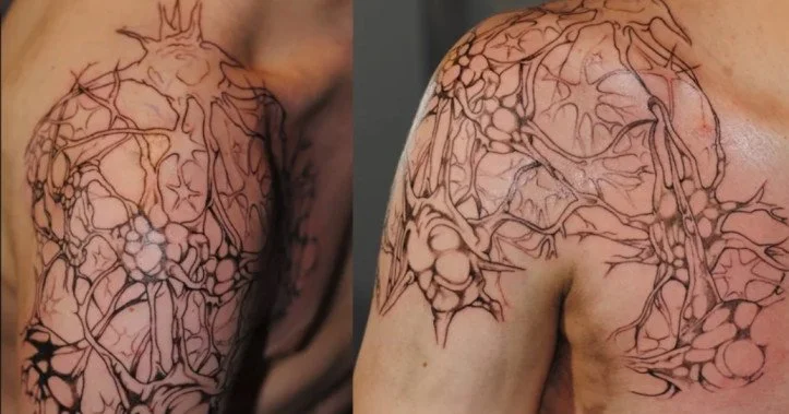 Neural Network Linework