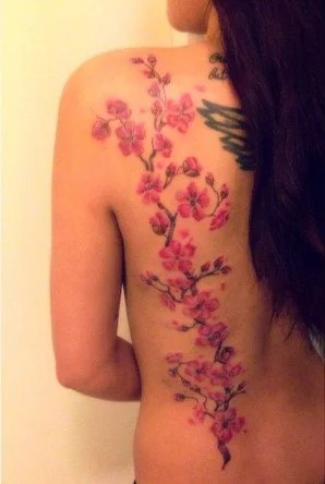 Cherry Blossom Tree