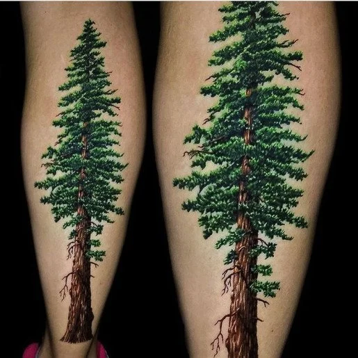 Cedar Tree Tattoo