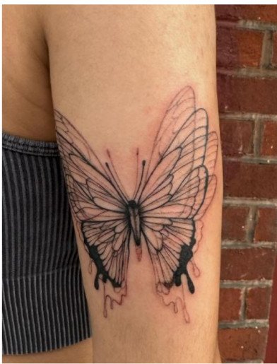 Glitchy butterfly