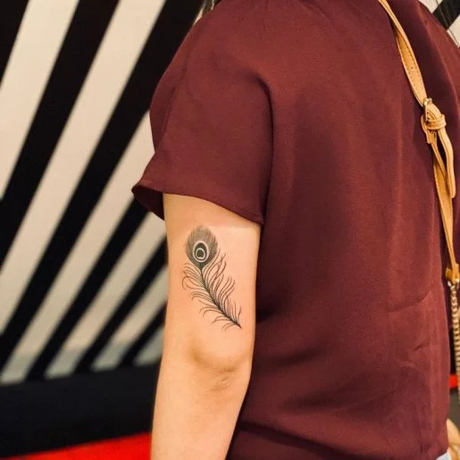 Floating Peacock Feather