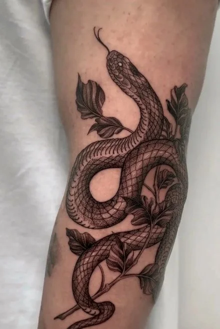 Coiled Snake Tattoo