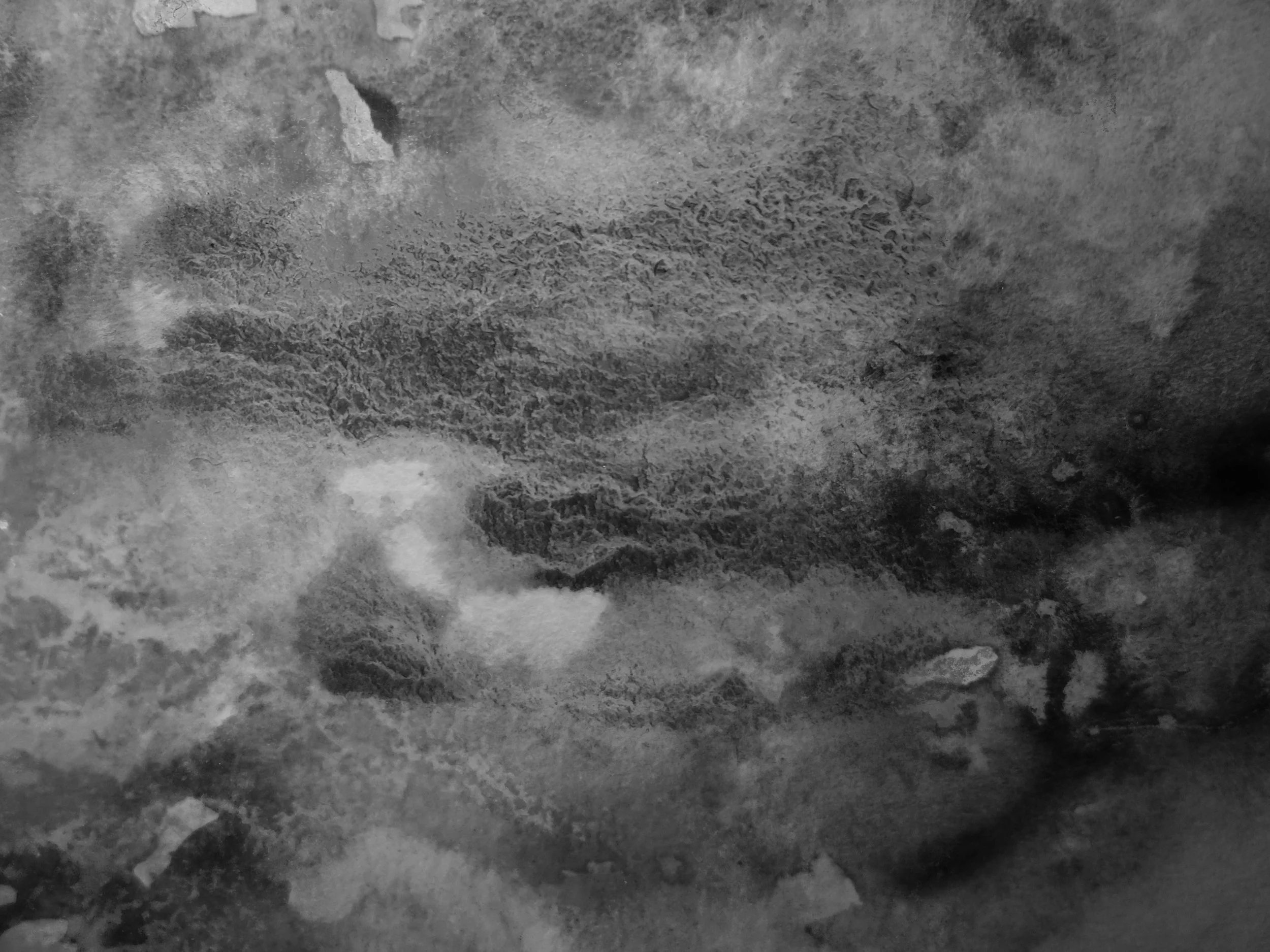 black and white 2 .jpg