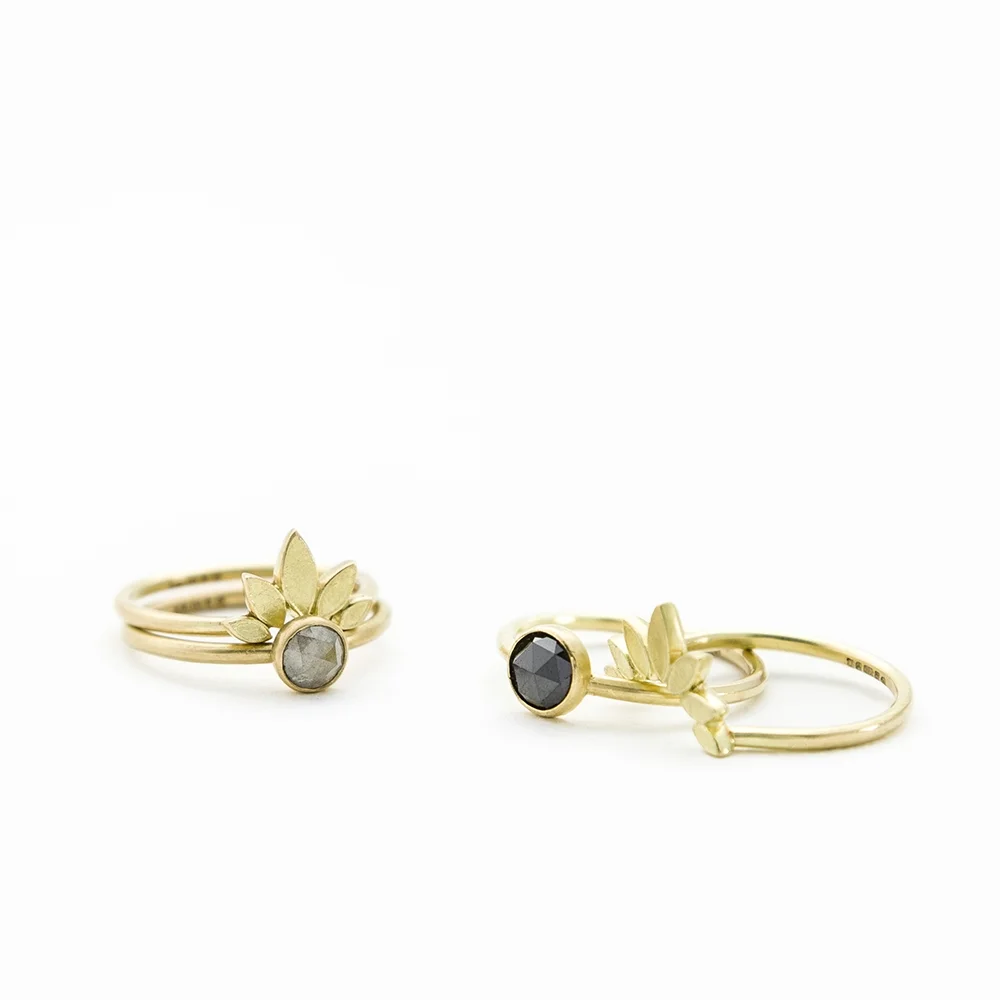 2 rings crop.jpg