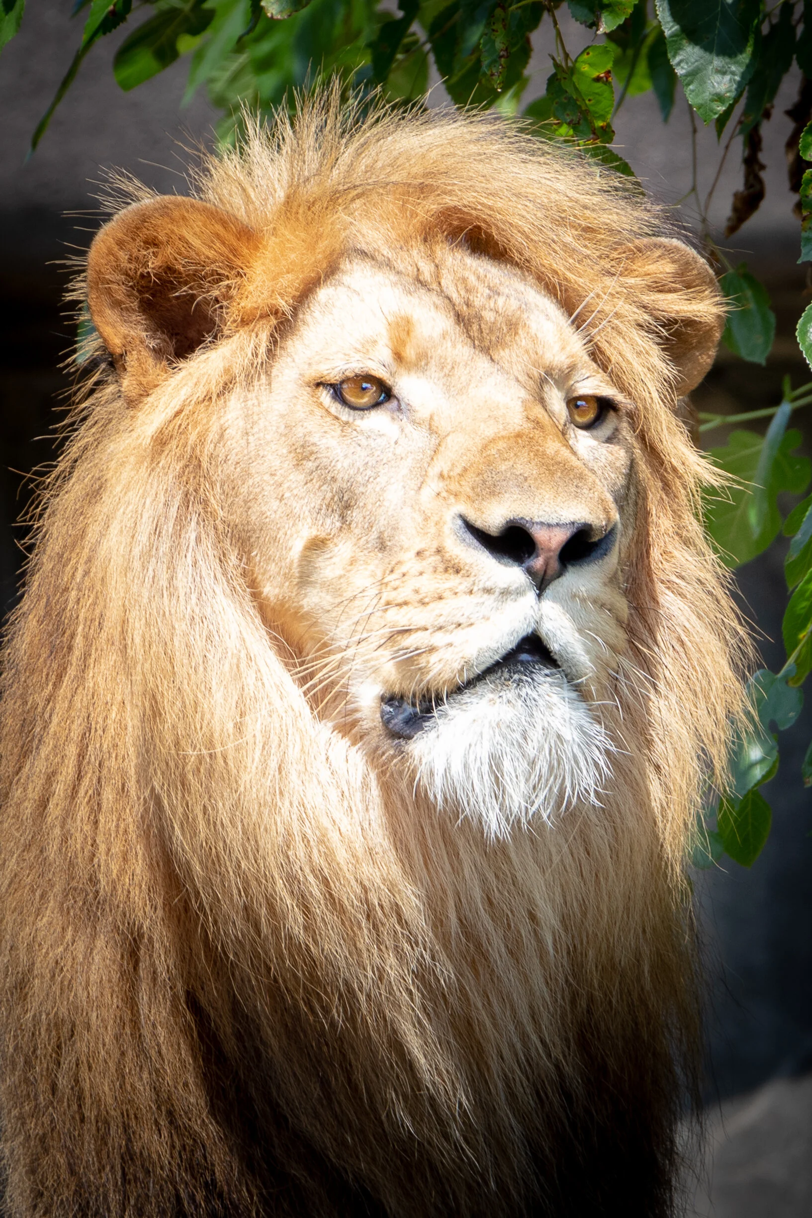 LouisvilleZoo2019-18.jpg