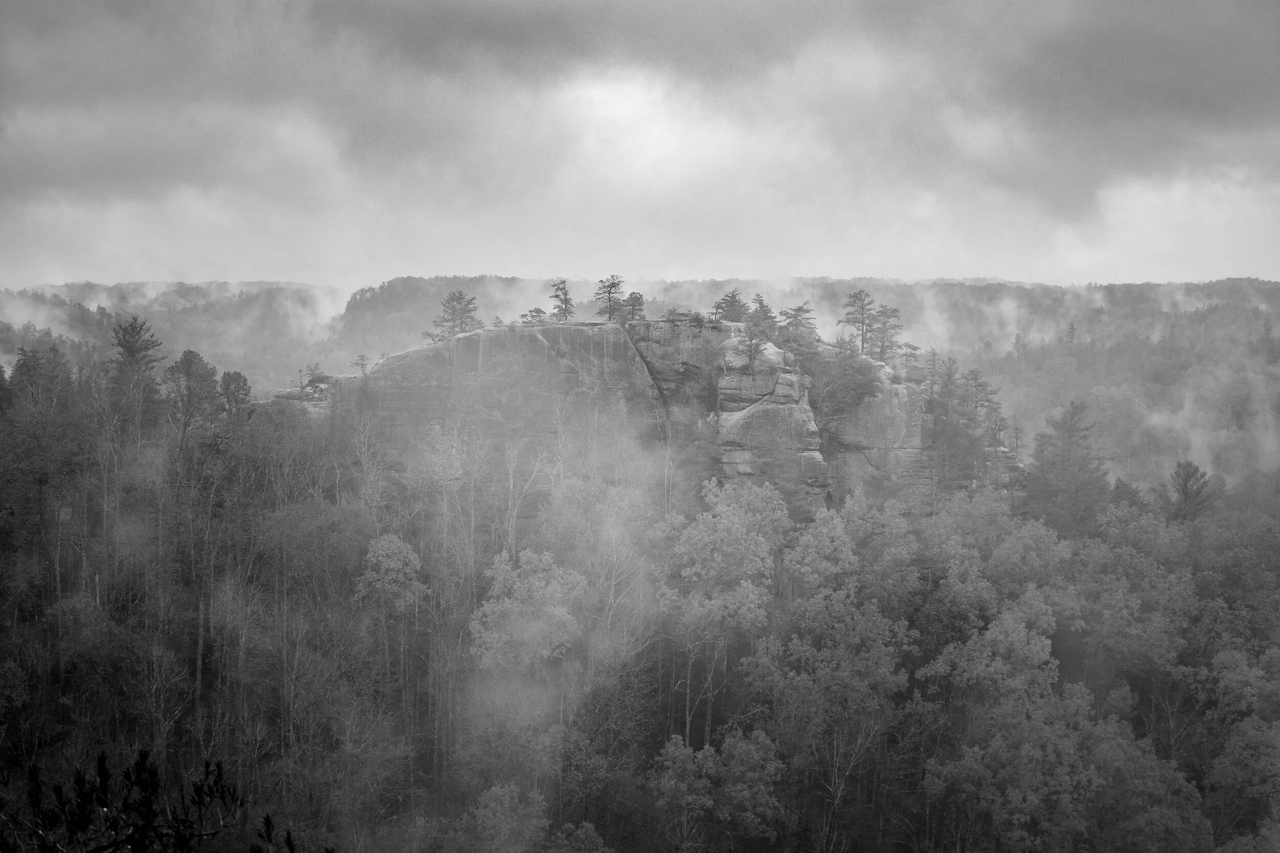 Fall&Fog-2.jpg