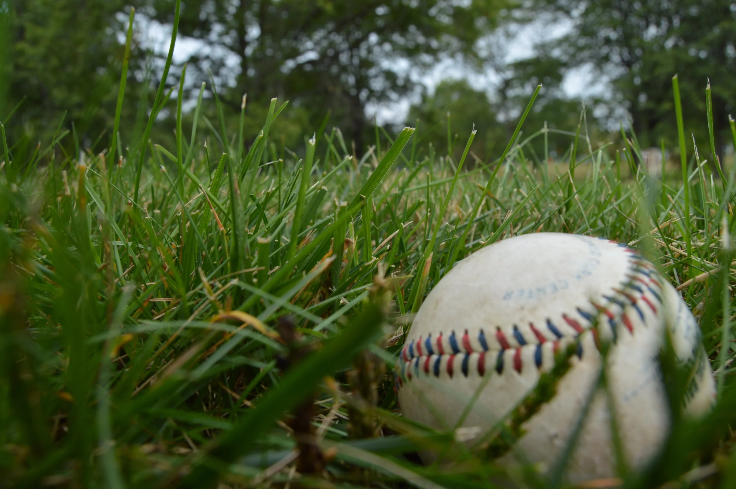sports object on grass.JPG