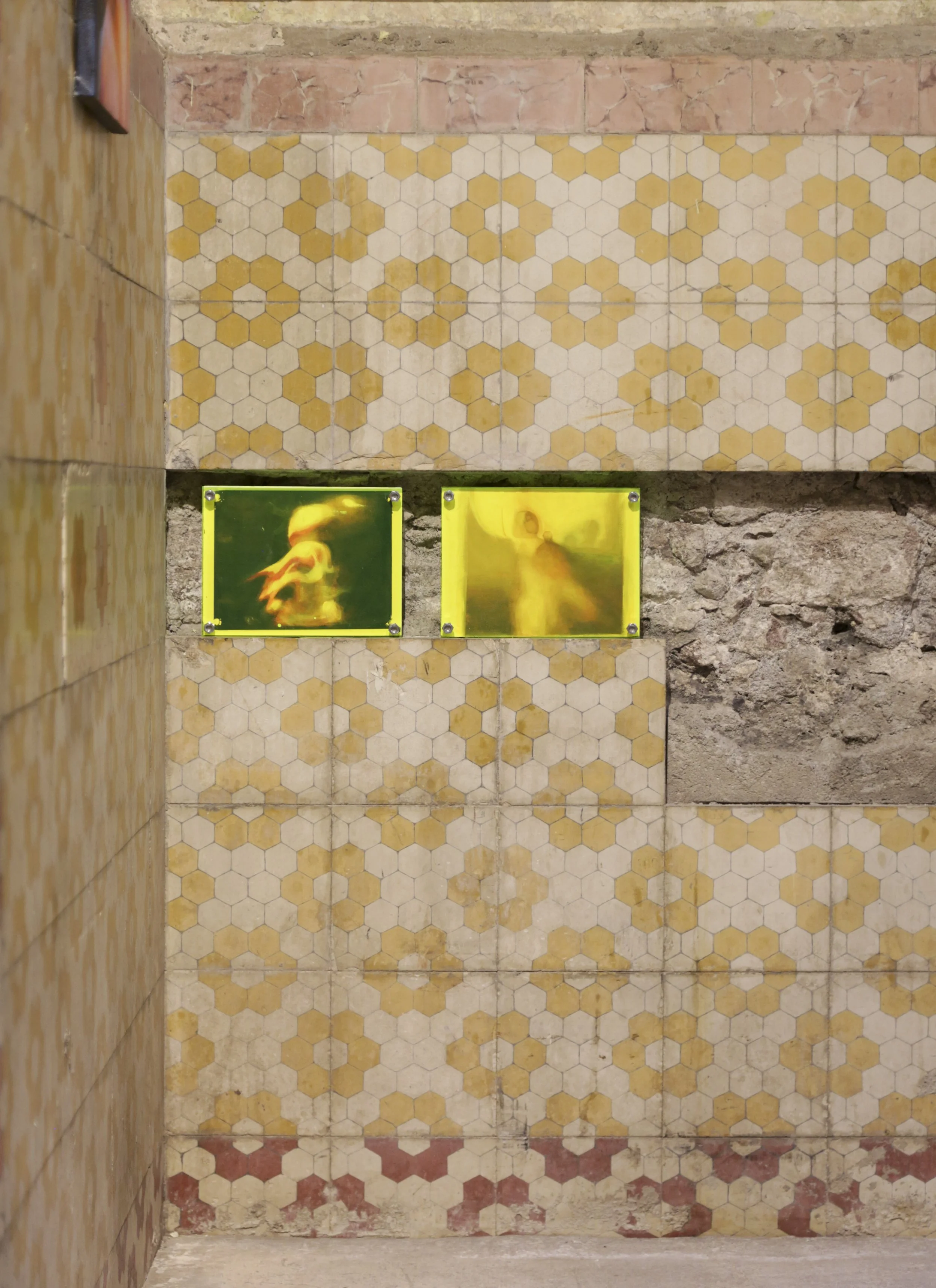 Copia de IMG_6922_ALUM GÁLVEZ.JPG