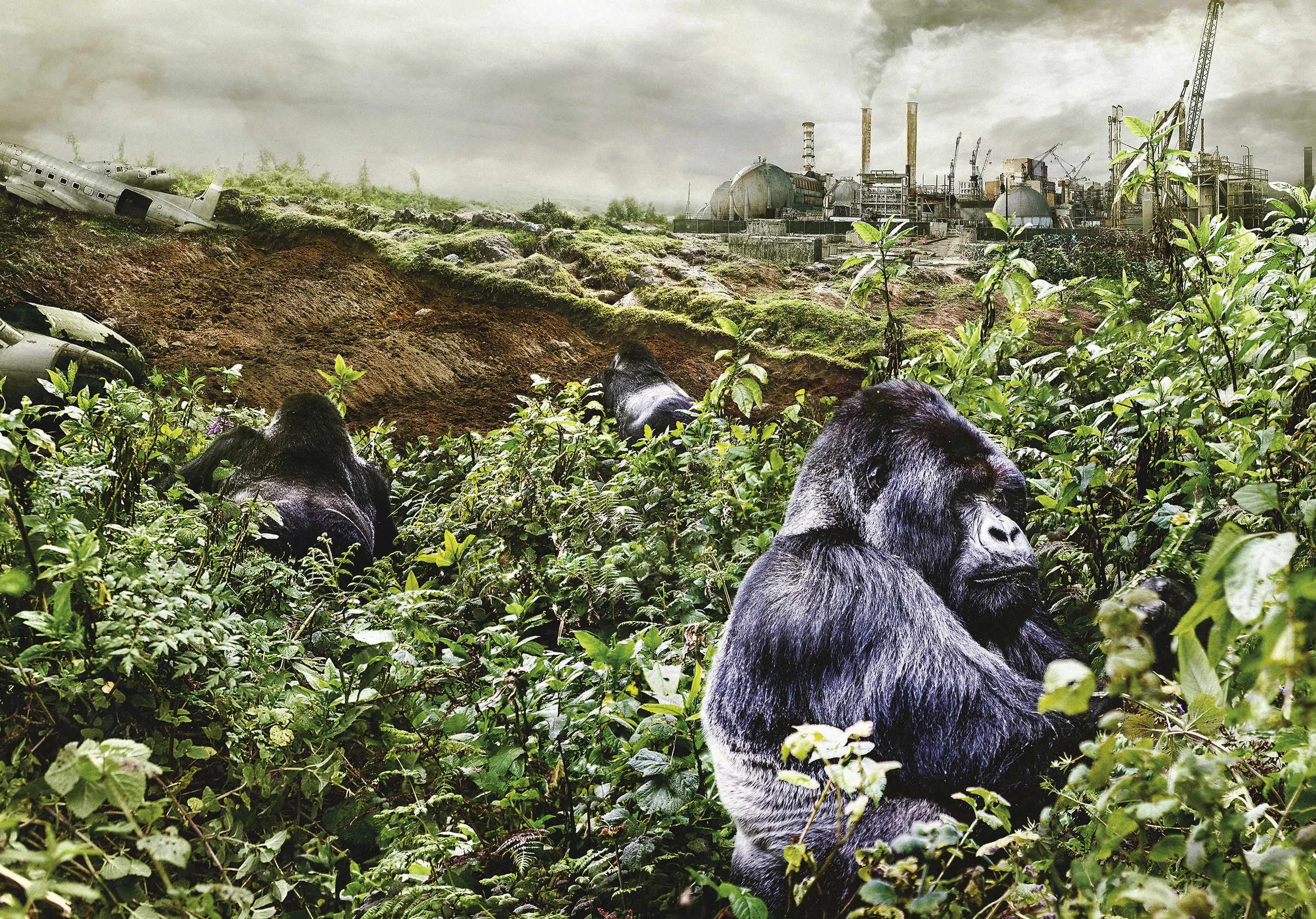 Collision.&nbsp;Great creative brief, targeted direction, fantastic asset creation and shots to play with. One of the best lessons about letting talent be talent. Thanks brother.