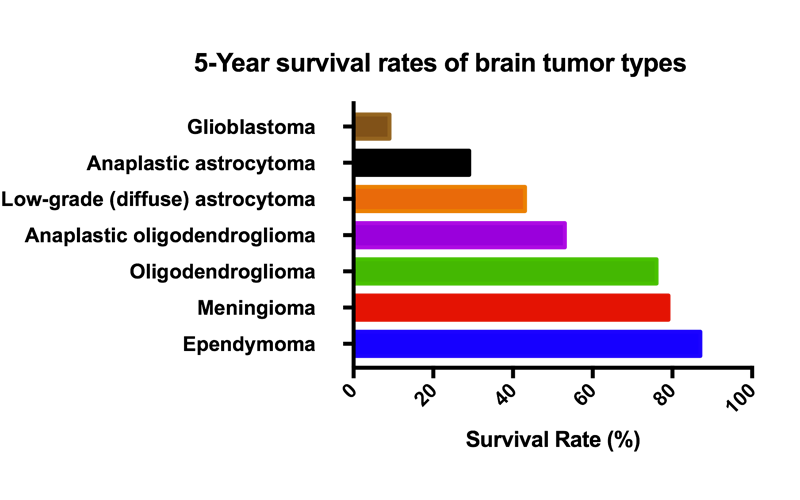 5-Year Relative Survival Rate Brain cancer types