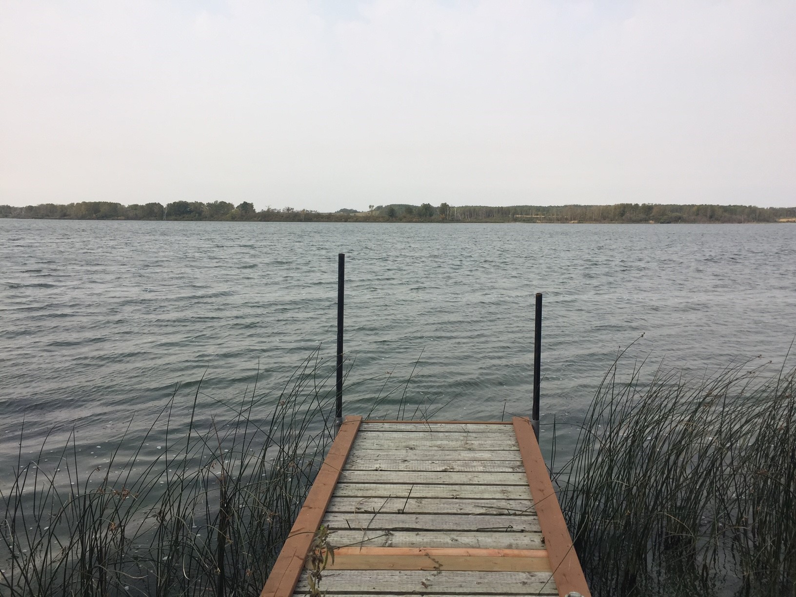 dock.jpg
