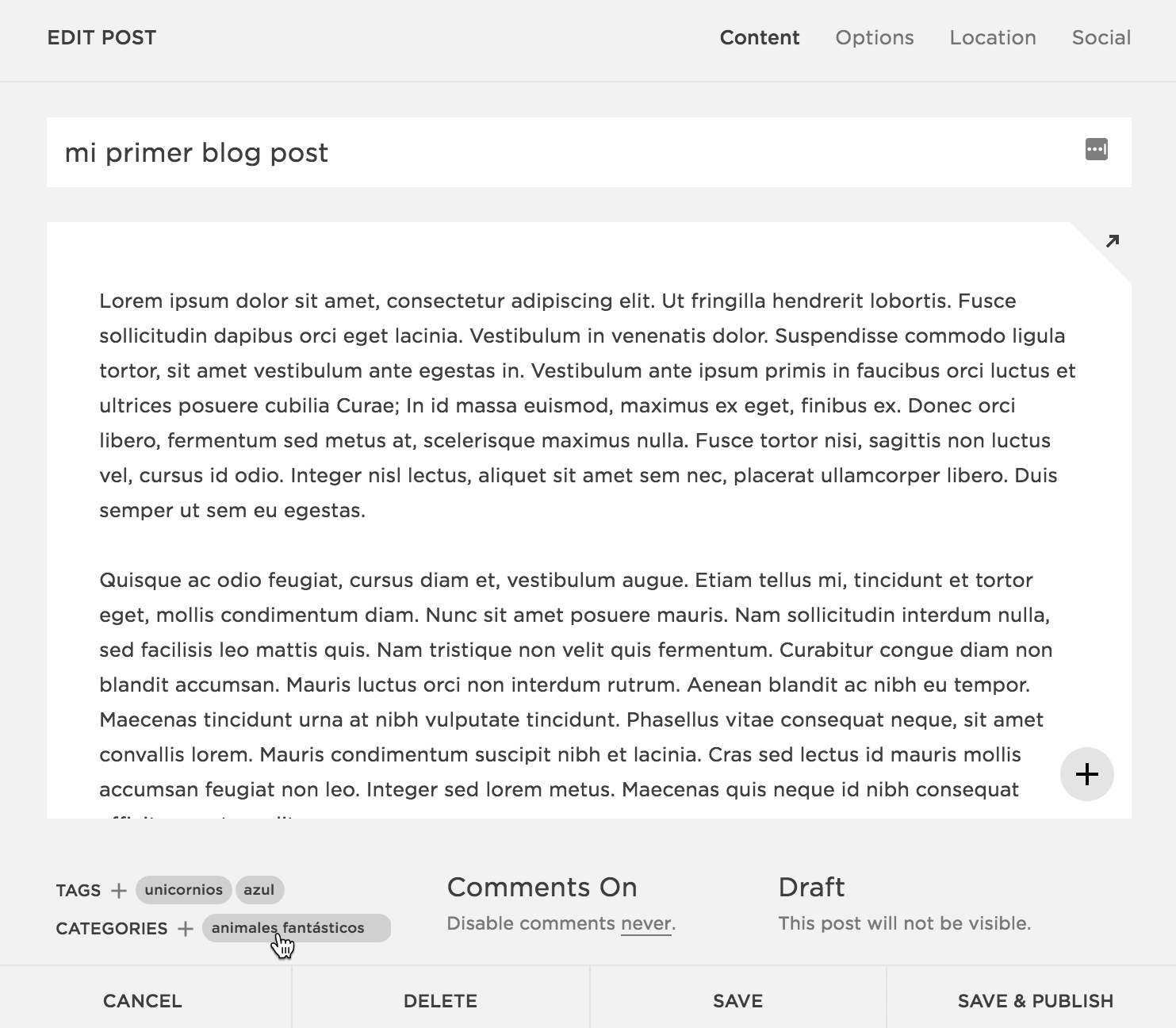categorías-Squarespace-SEO.png