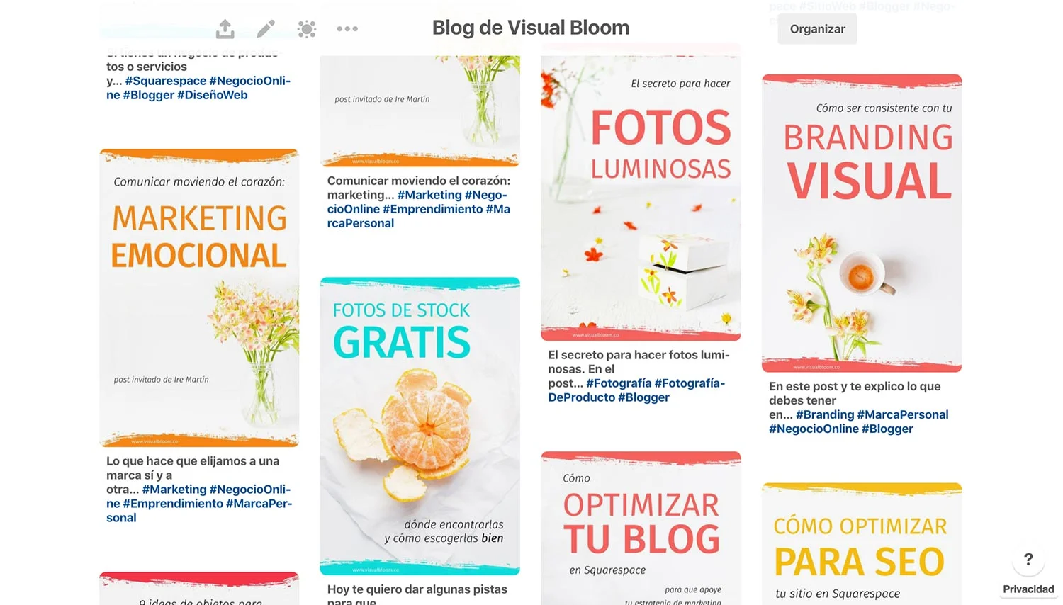 Pines del Tablero de pinterest de Visual Bloom