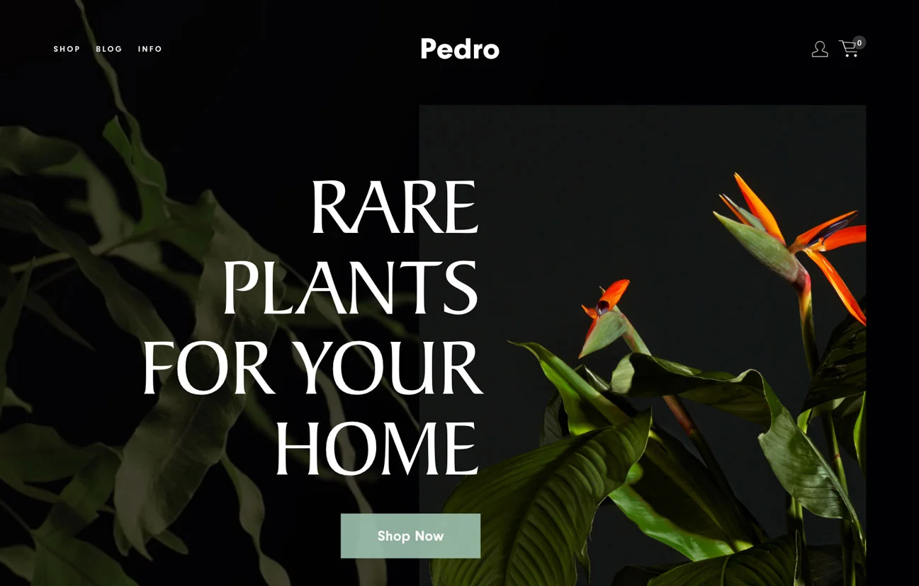 Pedro