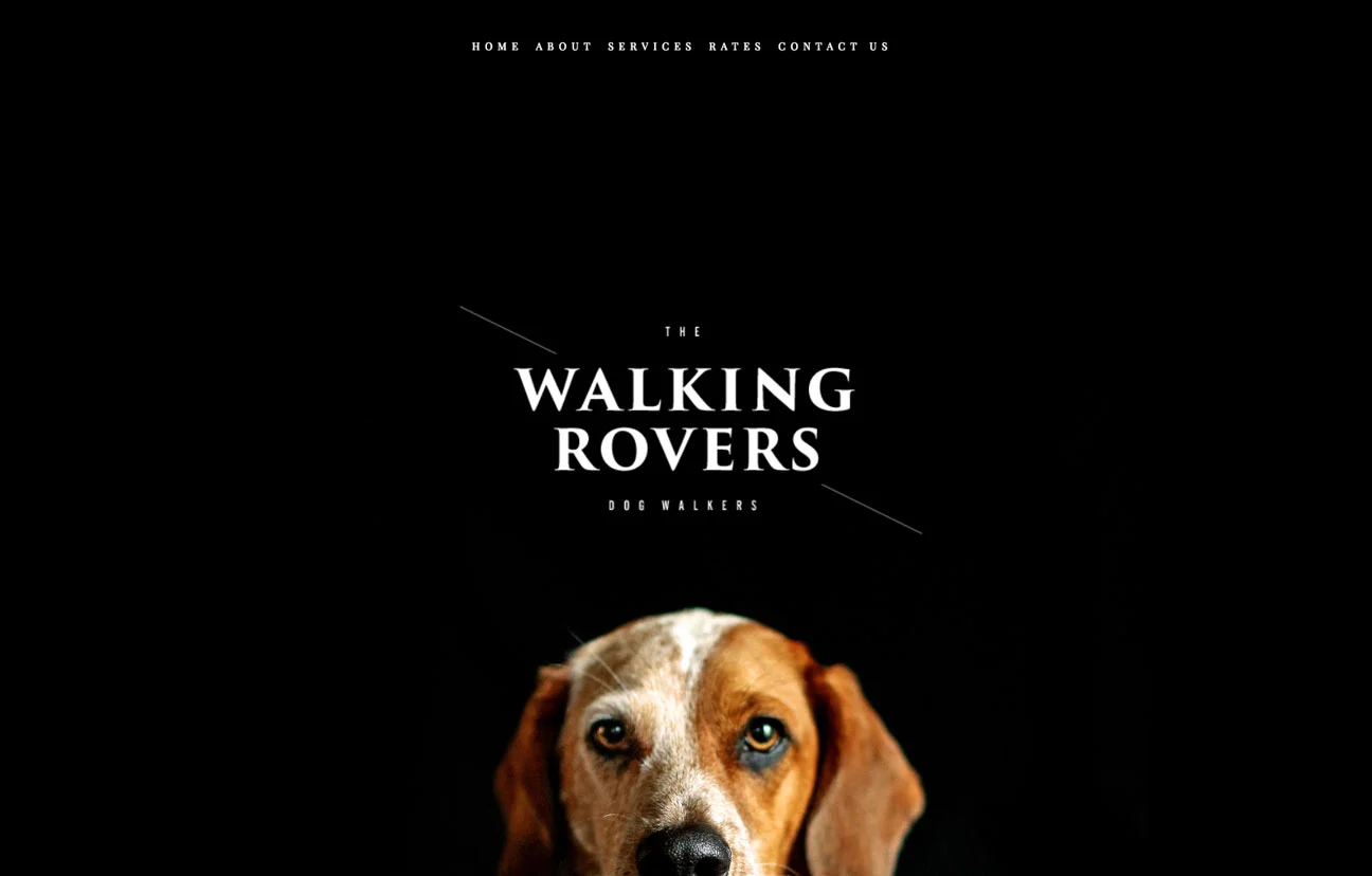 Rover