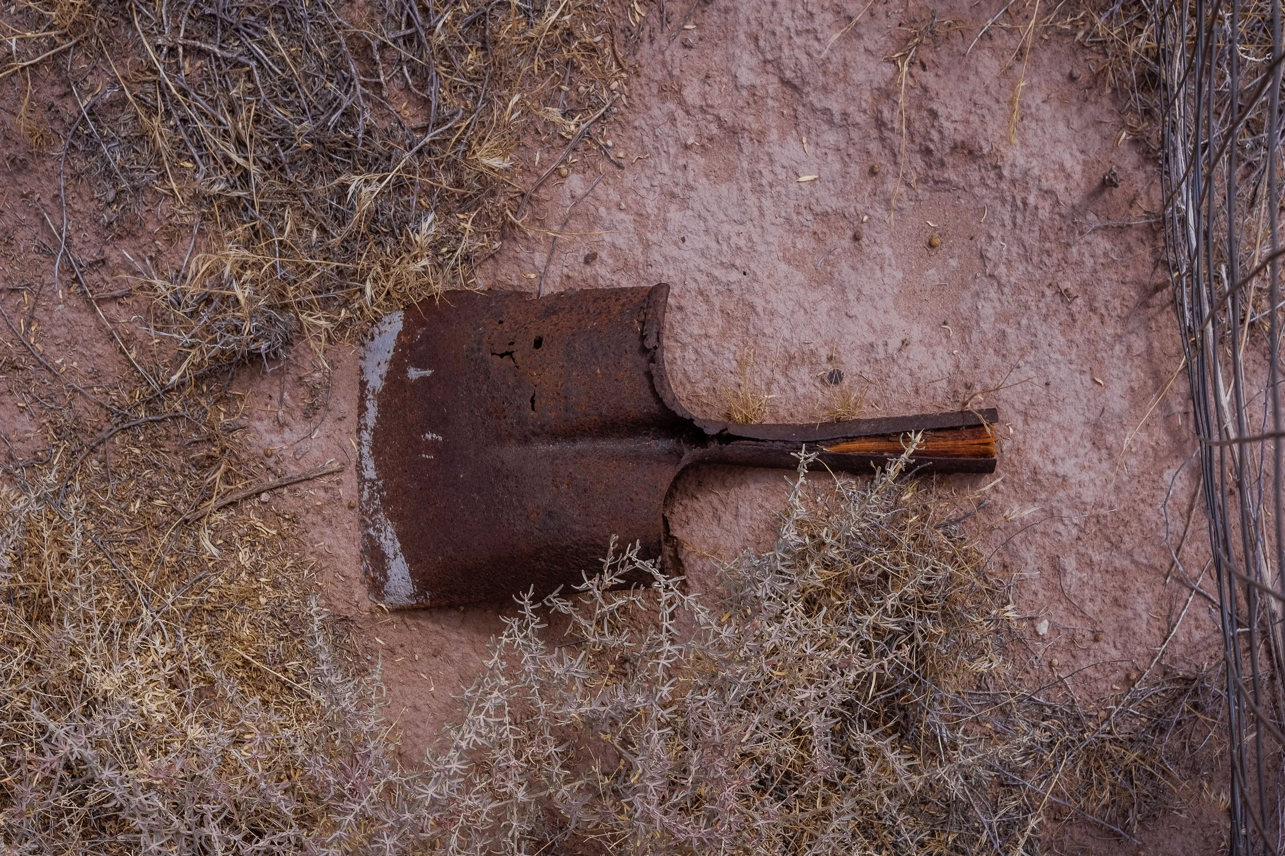 RustedShovel.jpg