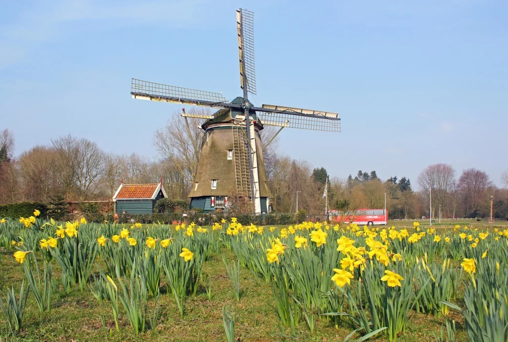 Amsterdam Bike Ride Guide